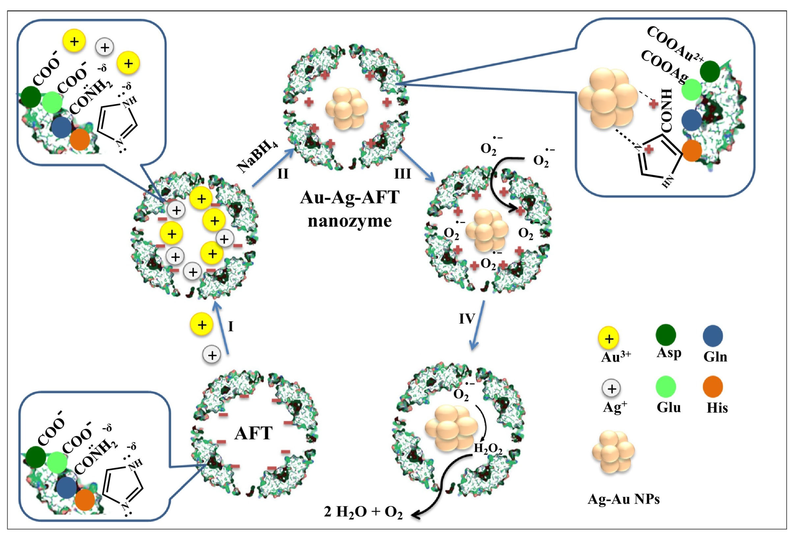 Catalysts 13 00013 g015