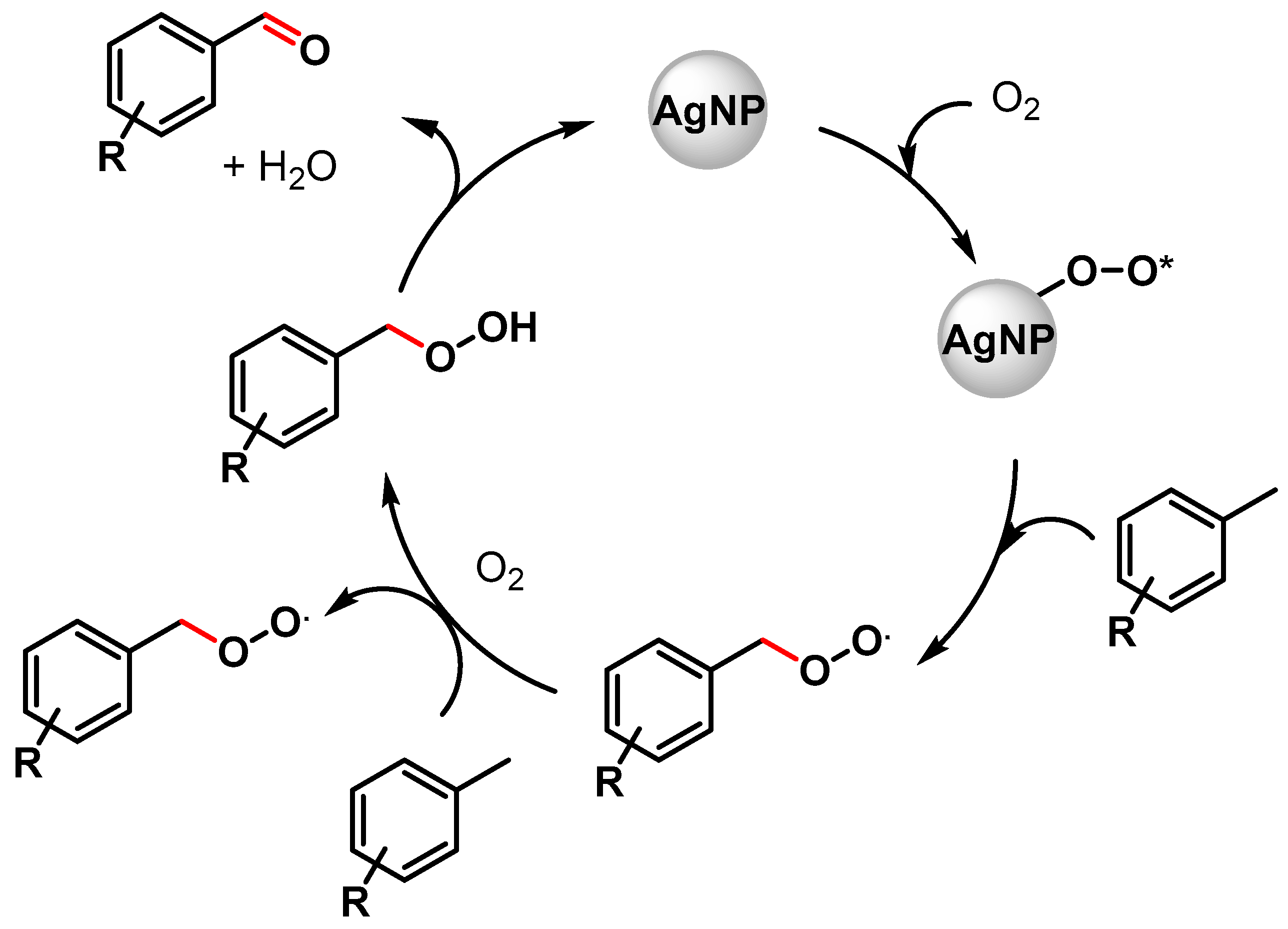 Catalysts 13 00016 sch006 Catalysts 13 00016 sch006