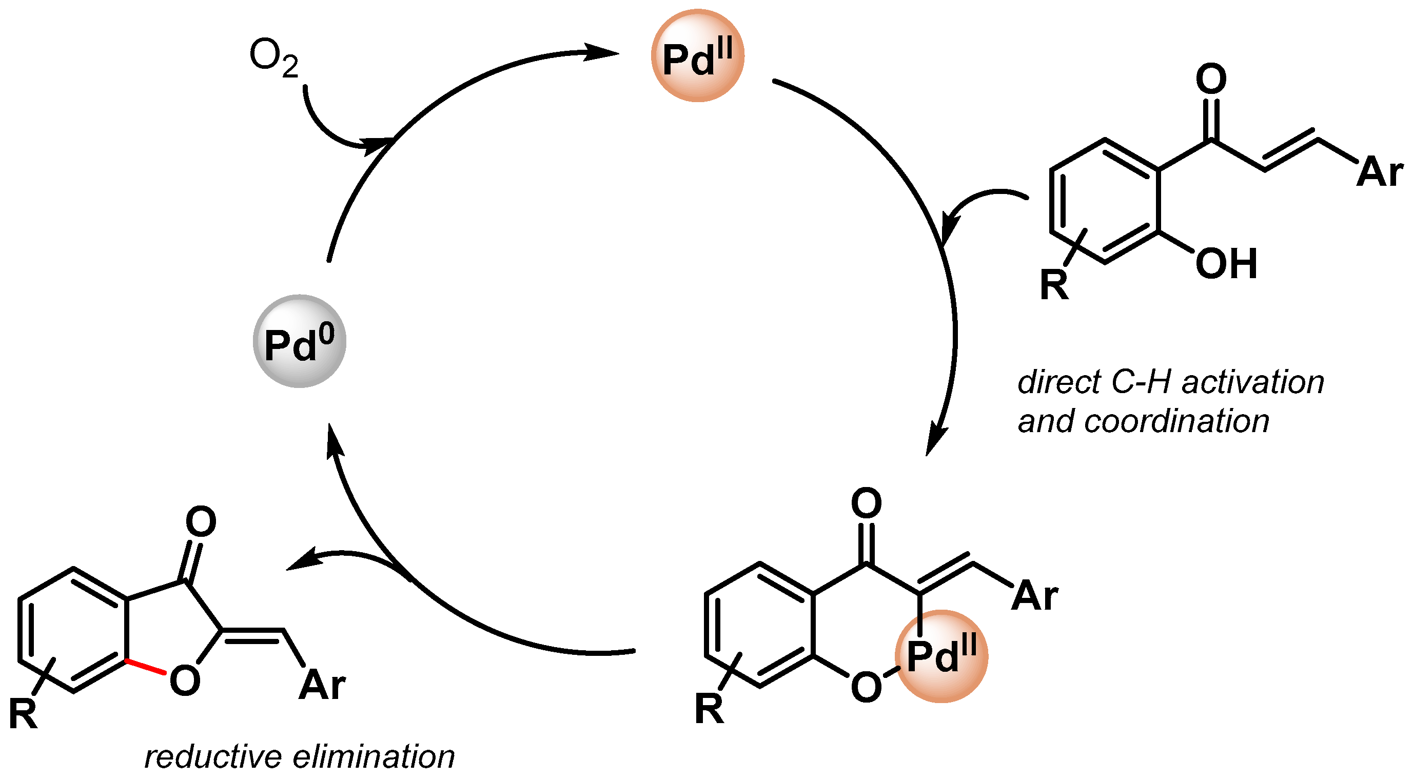 Catalysts 13 00016 sch019 Catalysts 13 00016 sch019