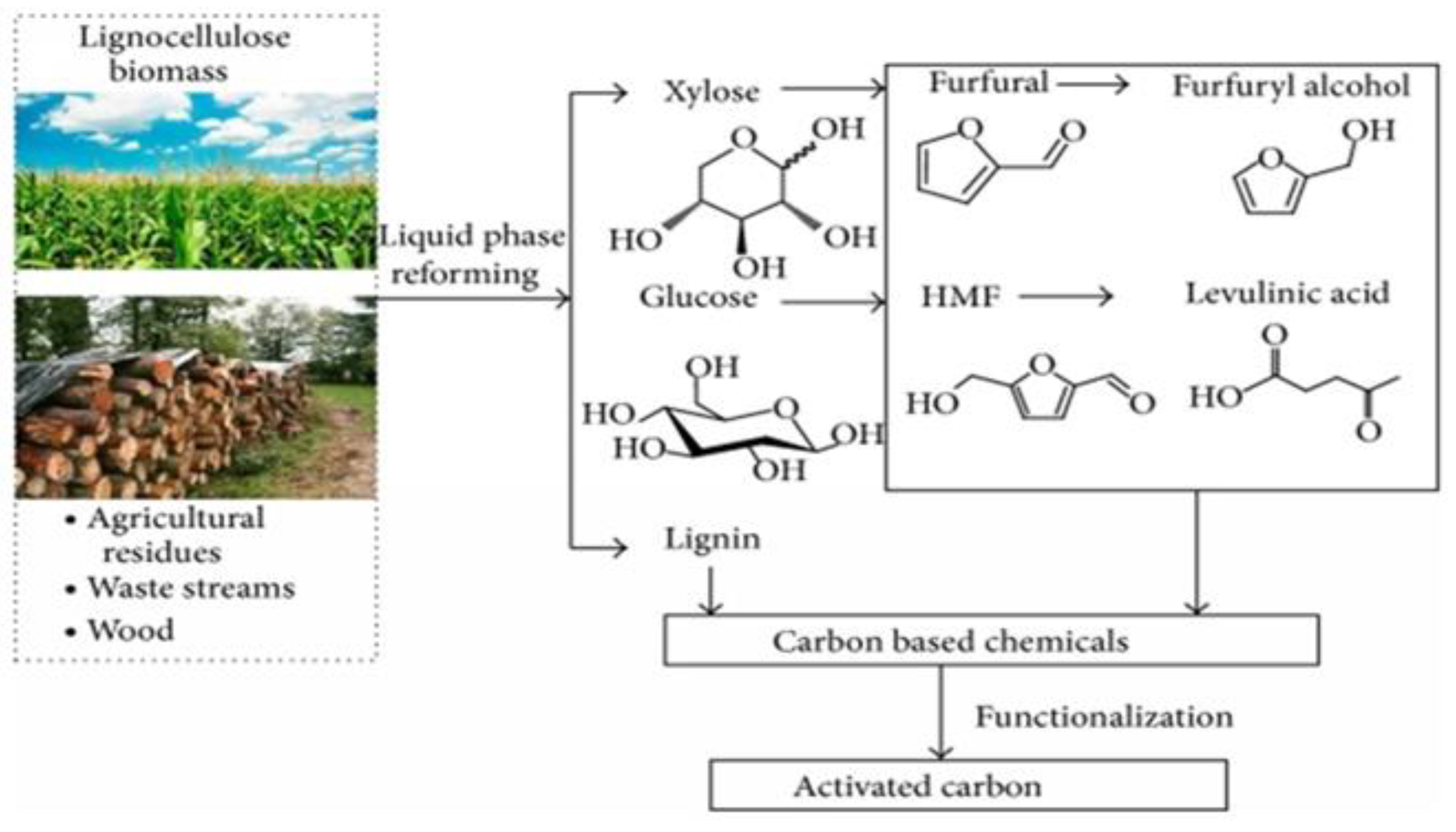Catalysts 13 00020 g004 Catalysts 13 00020 g004