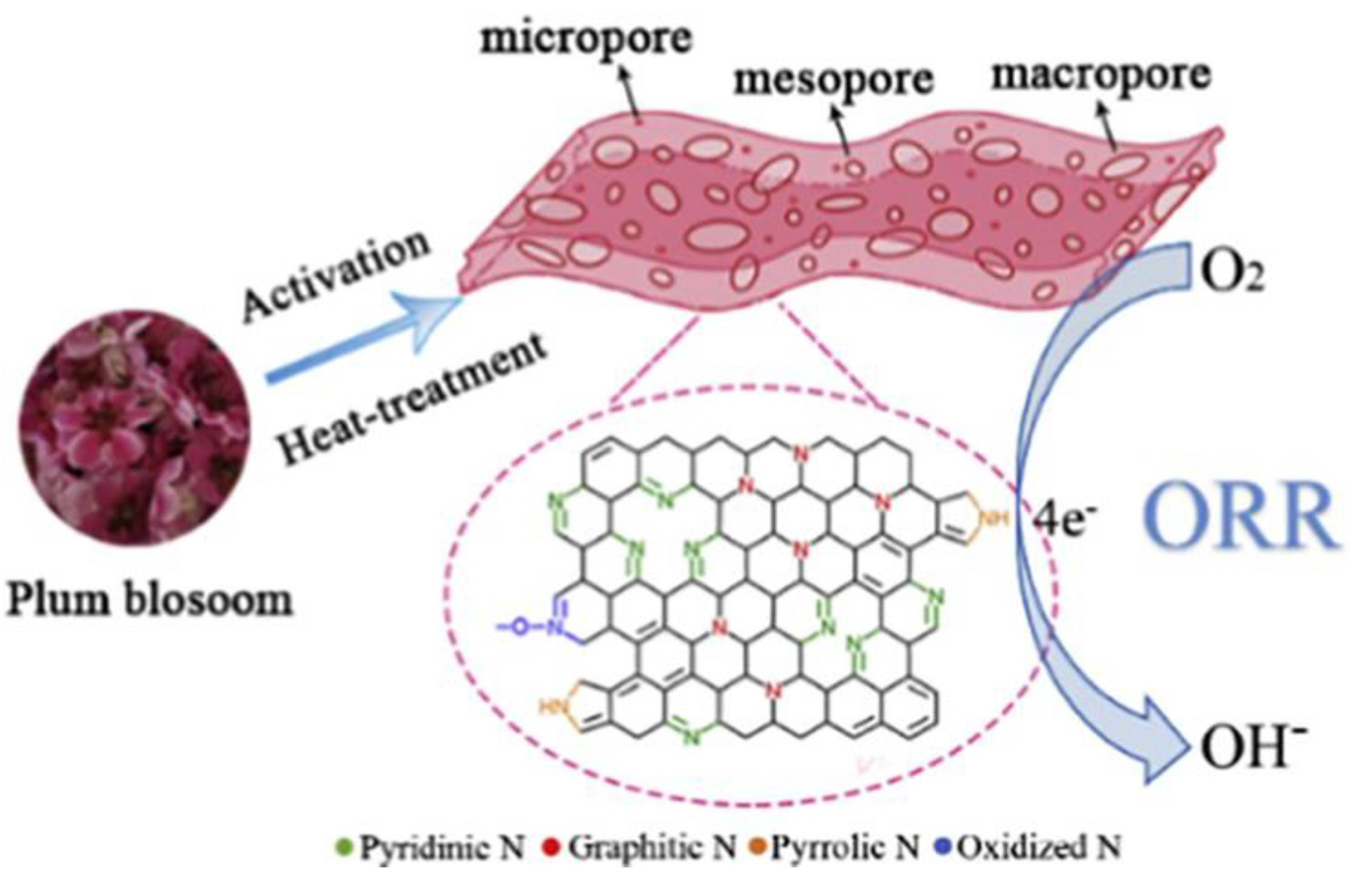Catalysts 13 00020 g014 Catalysts 13 00020 g014