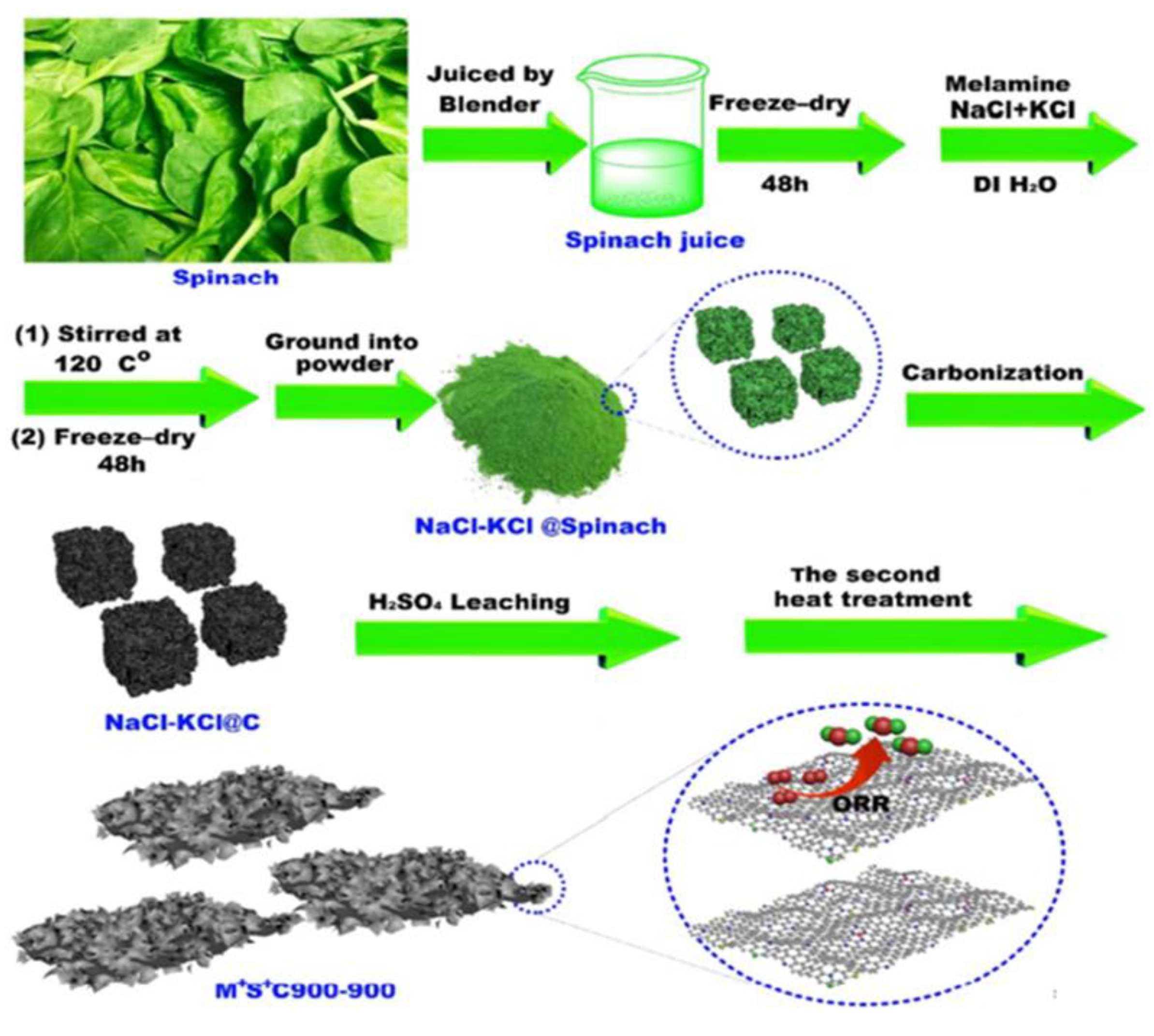 Catalysts 13 00020 g015 Catalysts 13 00020 g015