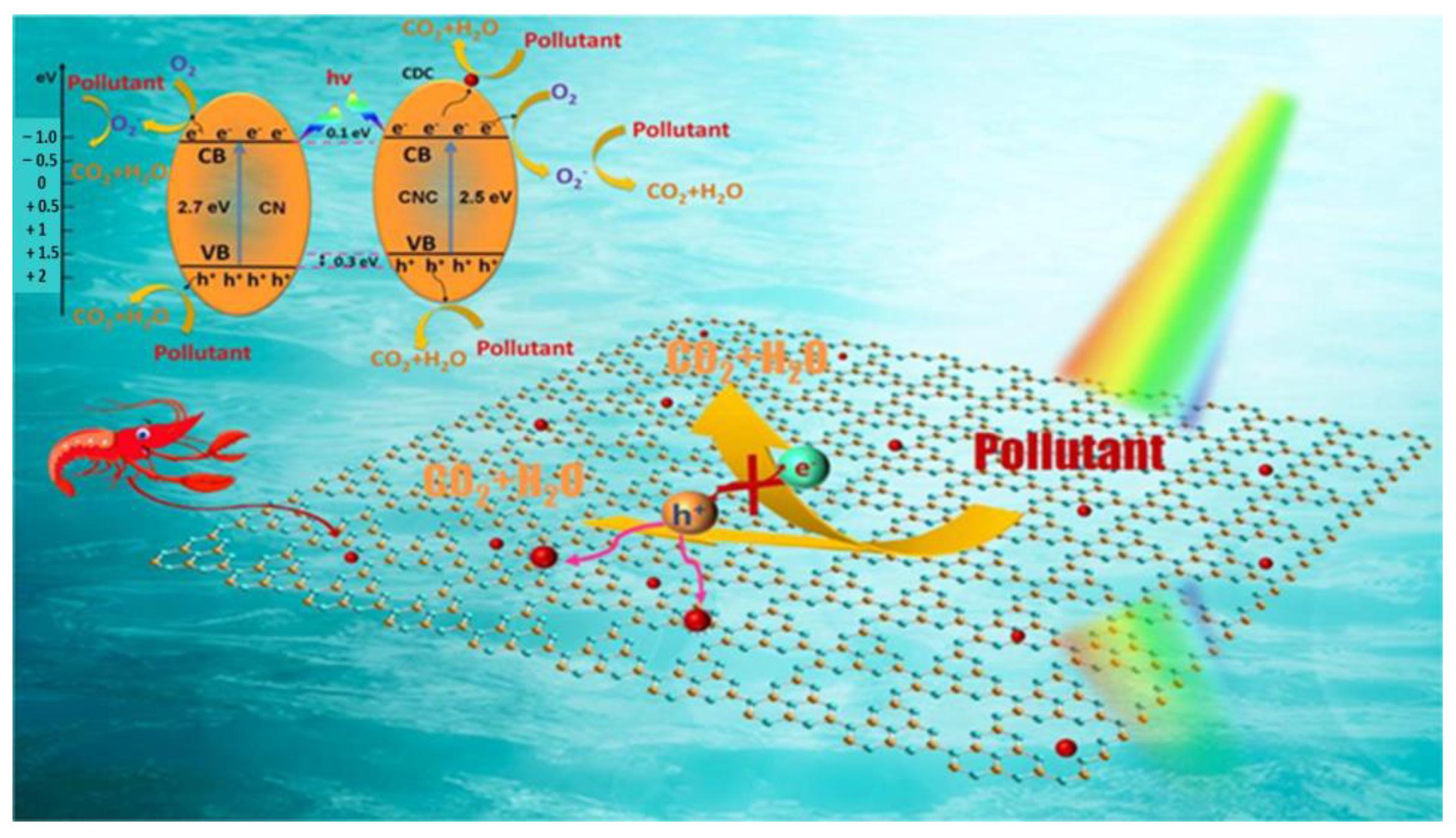 Catalysts 13 00020 g019 Catalysts 13 00020 g019