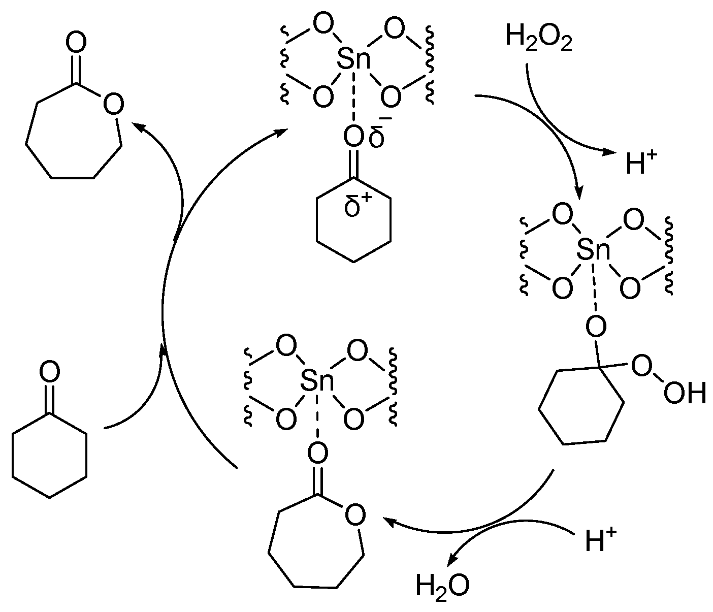Catalysts 13 00021 g003 Catalysts 13 00021 g003