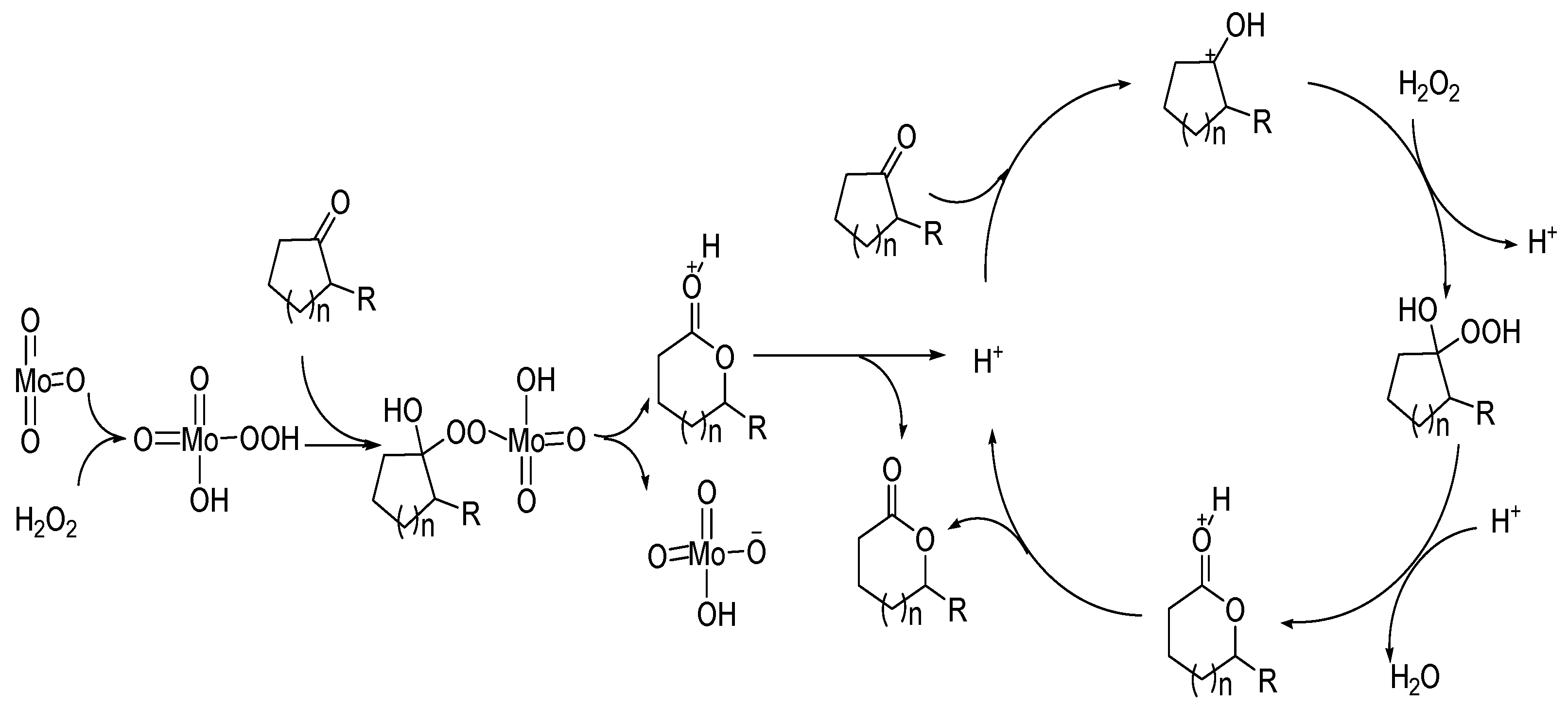 Catalysts 13 00021 g007 Catalysts 13 00021 g007