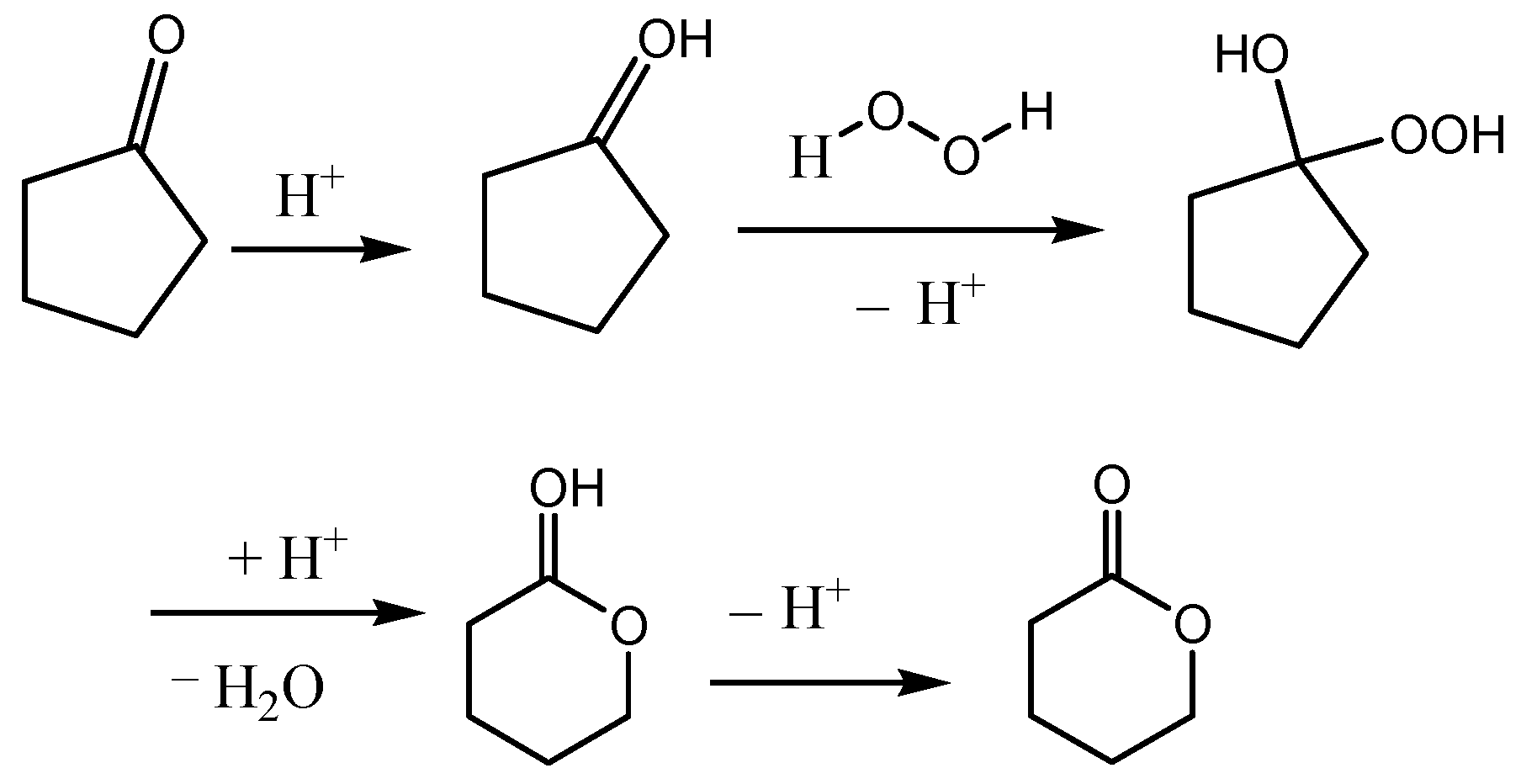 Catalysts 13 00021 g009 Catalysts 13 00021 g009