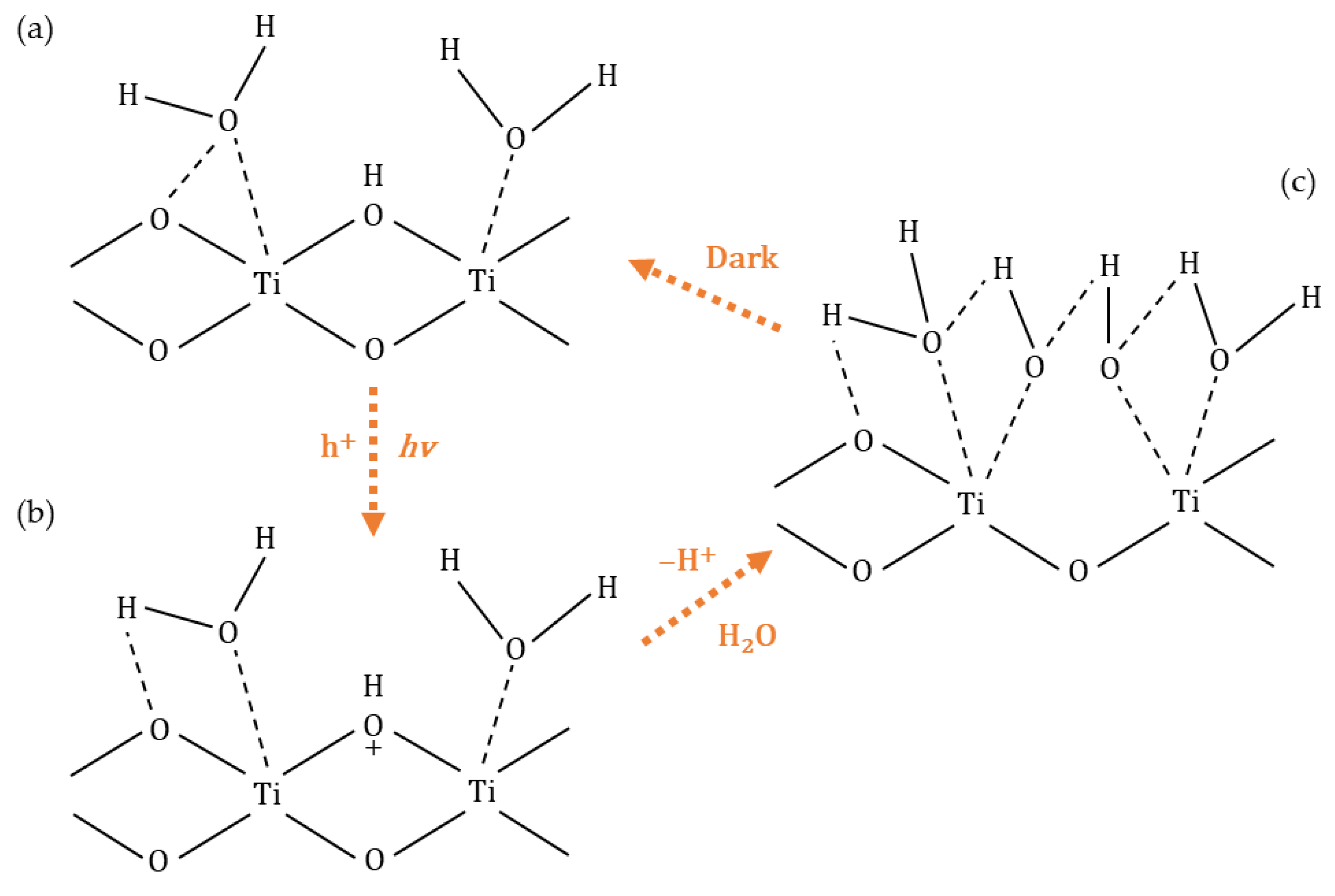 Catalysts 13 00026 g005 Catalysts 13 00026 g005
