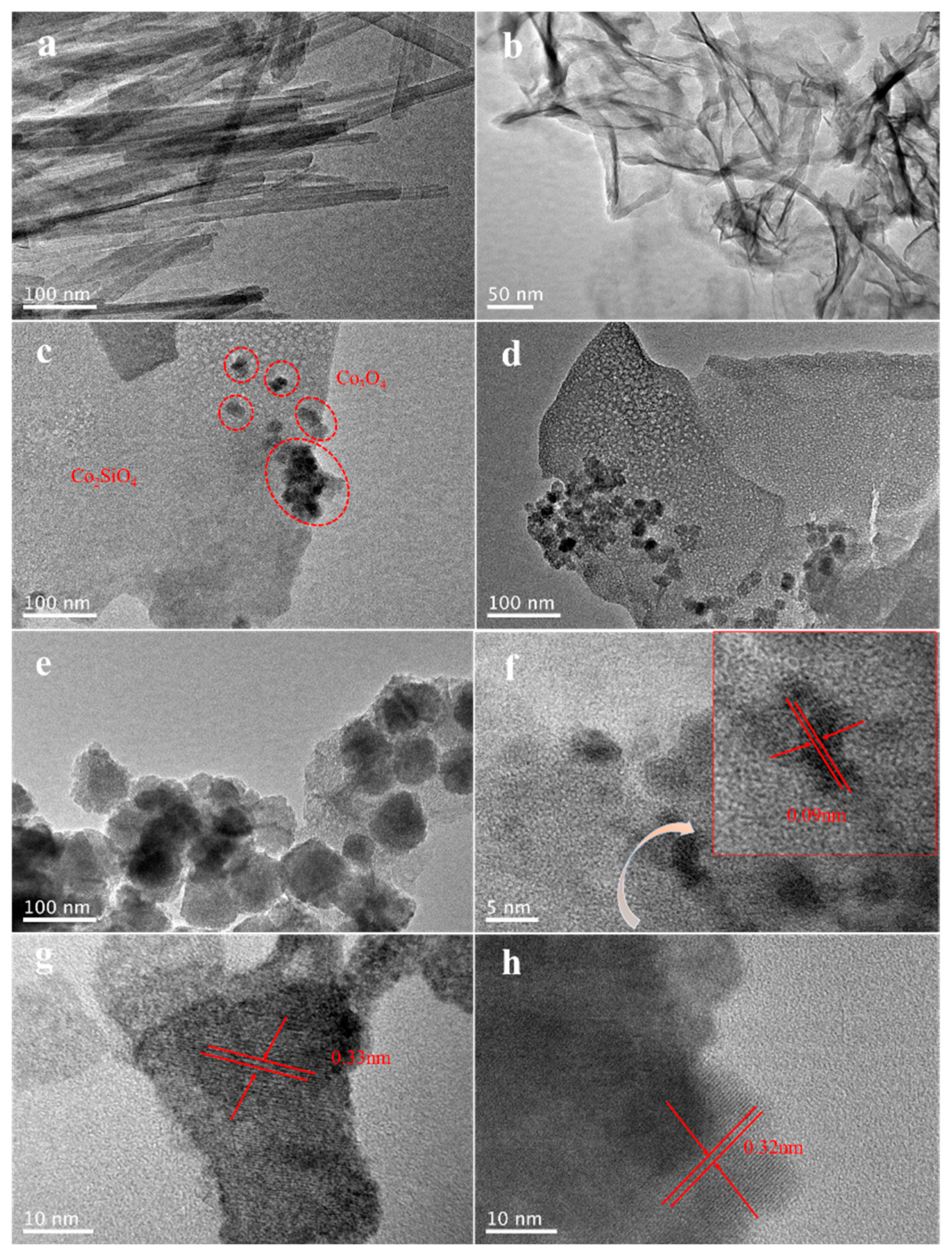 Catalysts 13 00032 g002 Catalysts 13 00032 g002