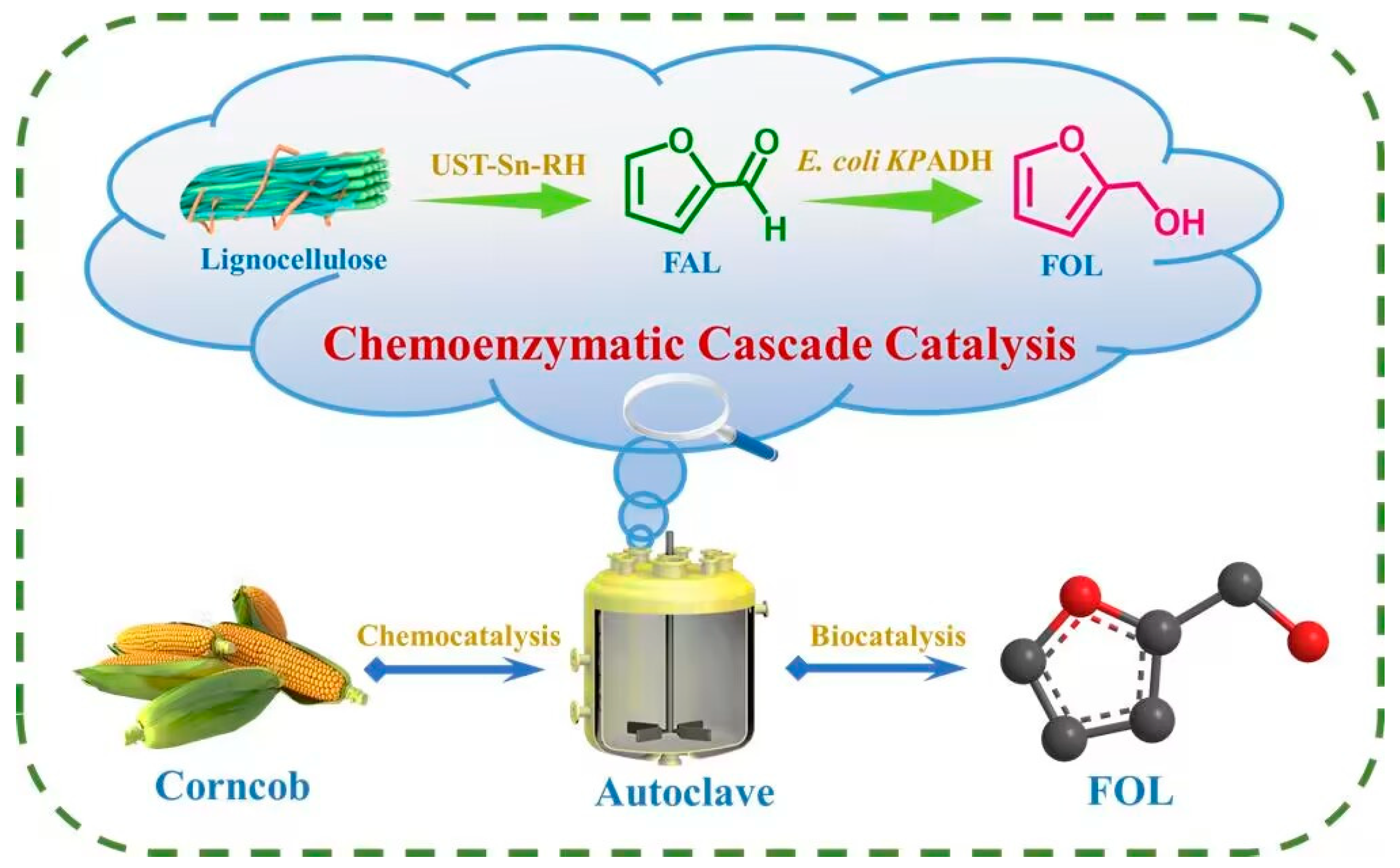 Catalysts 13 00037 g001 Catalysts 13 00037 g001