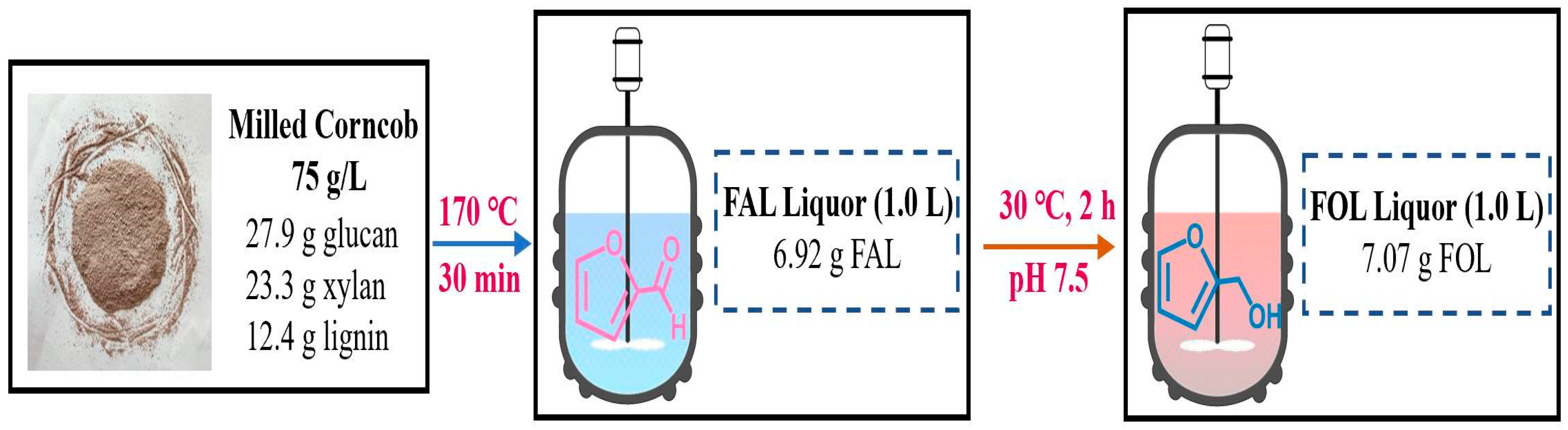 Catalysts 13 00037 g009 Catalysts 13 00037 g009