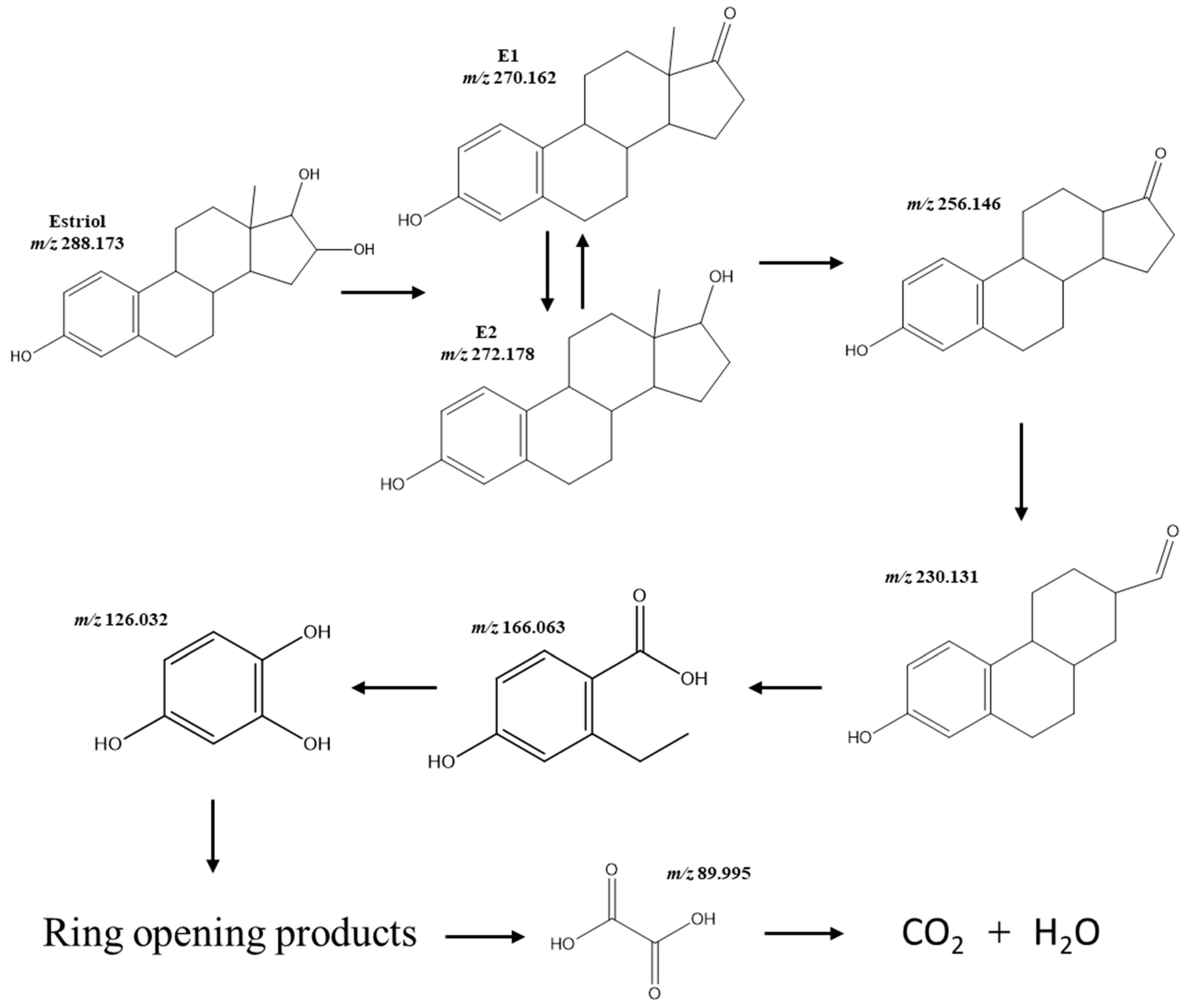 Catalysts 13 00043 g007 Catalysts 13 00043 g007