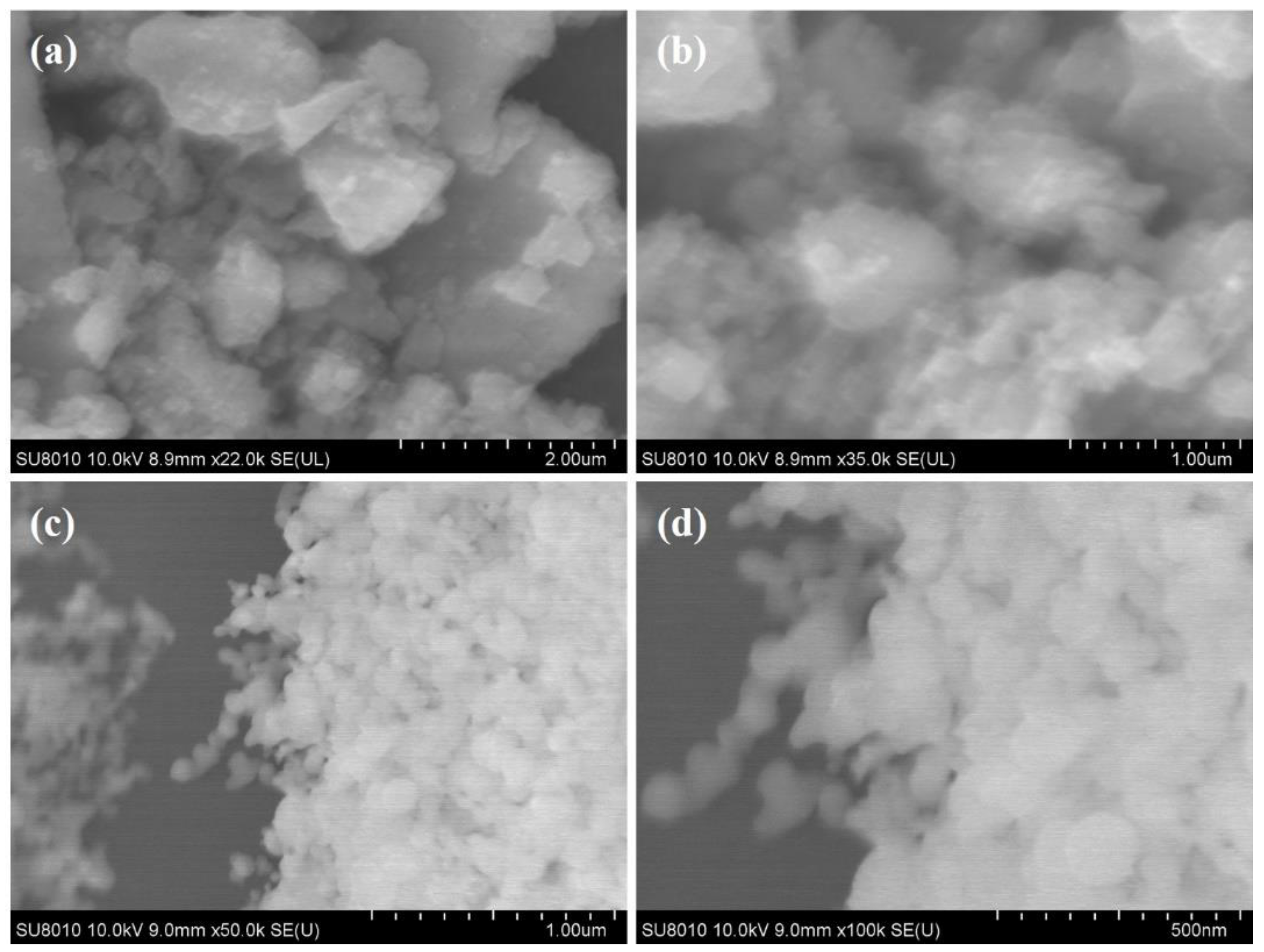 Catalysts 13 00044 g001