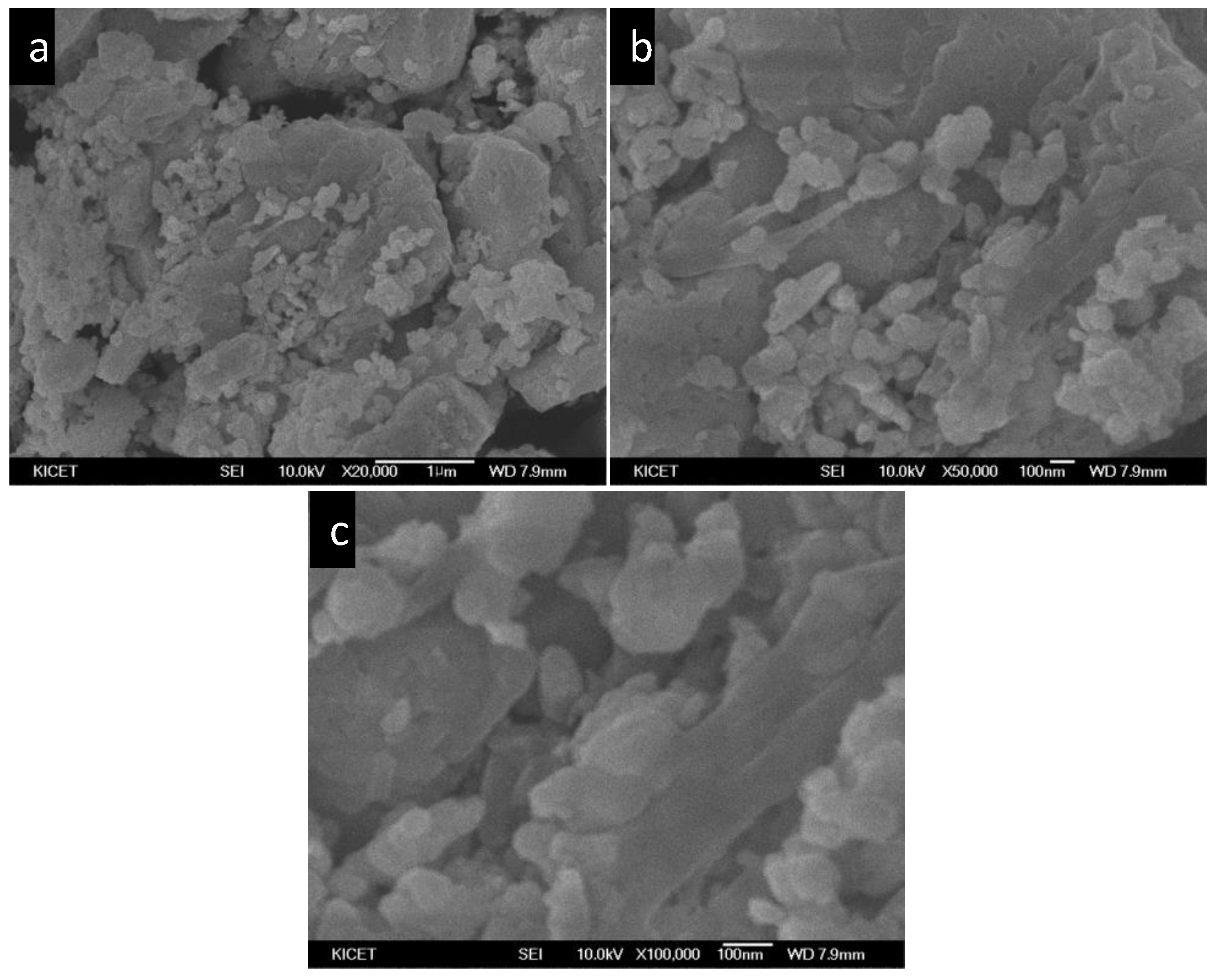 Catalysts 13 00044 g002