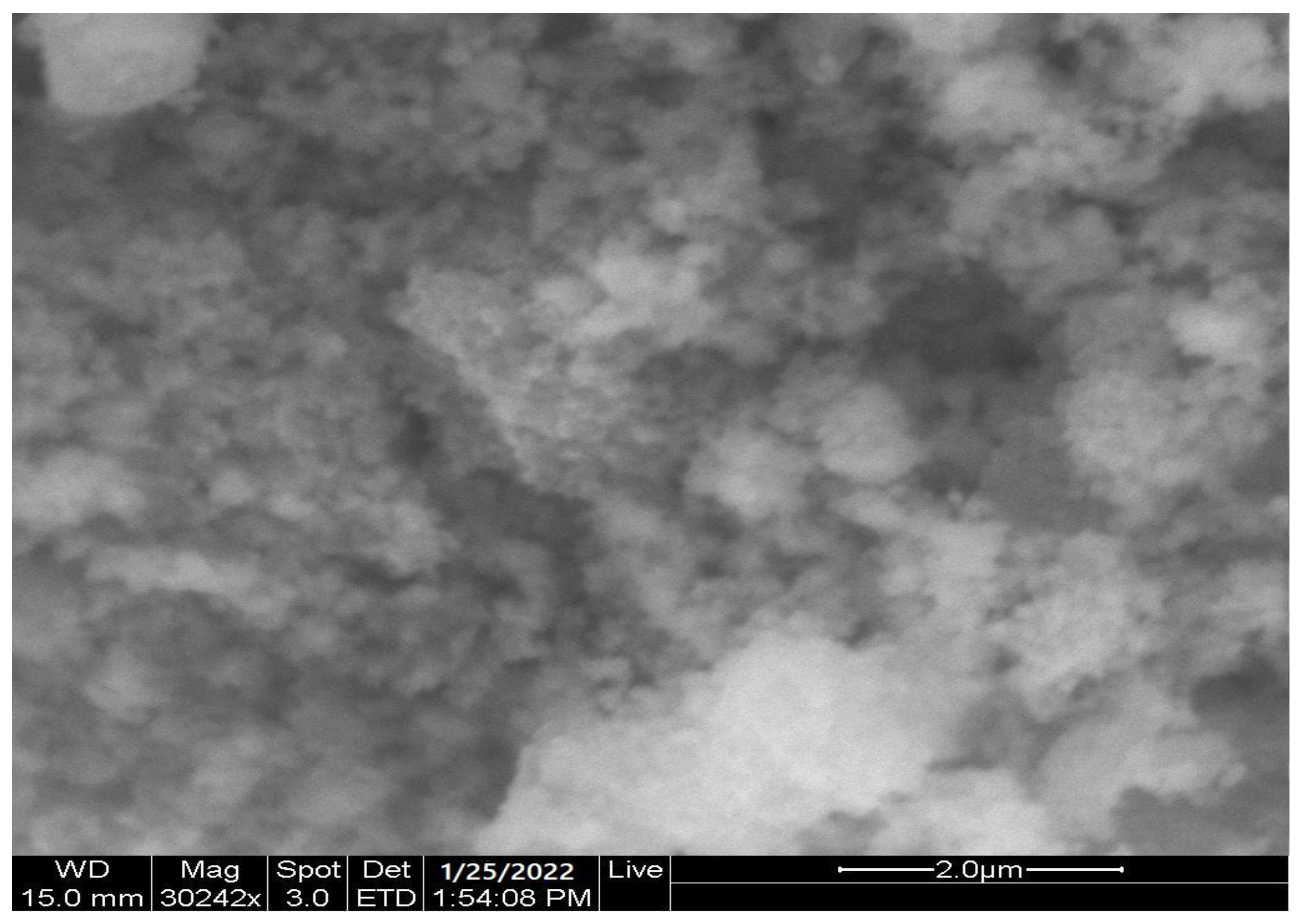 Catalysts 13 00047 g005 Catalysts 13 00047 g005