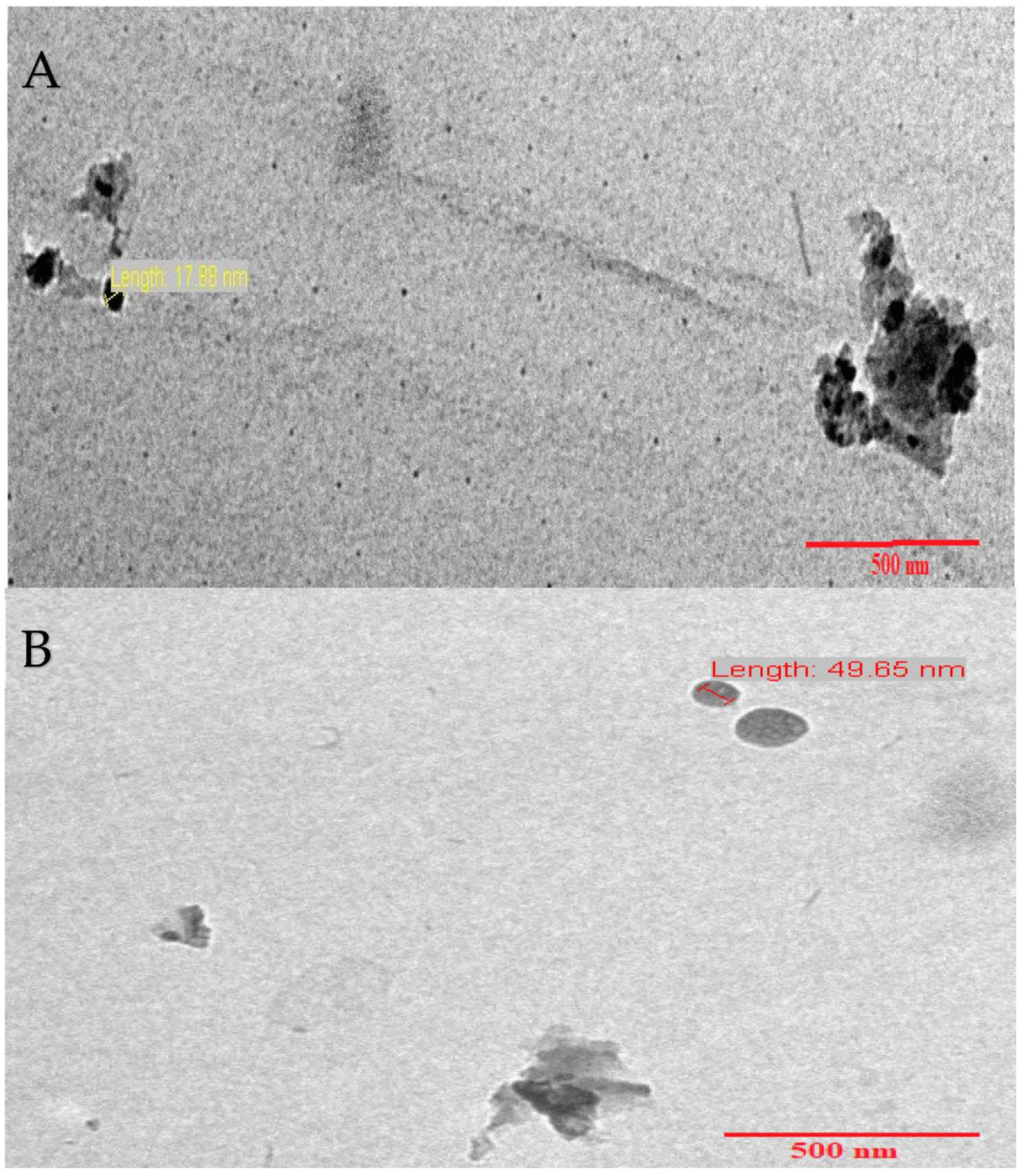 Catalysts 13 00047 g006 Catalysts 13 00047 g006