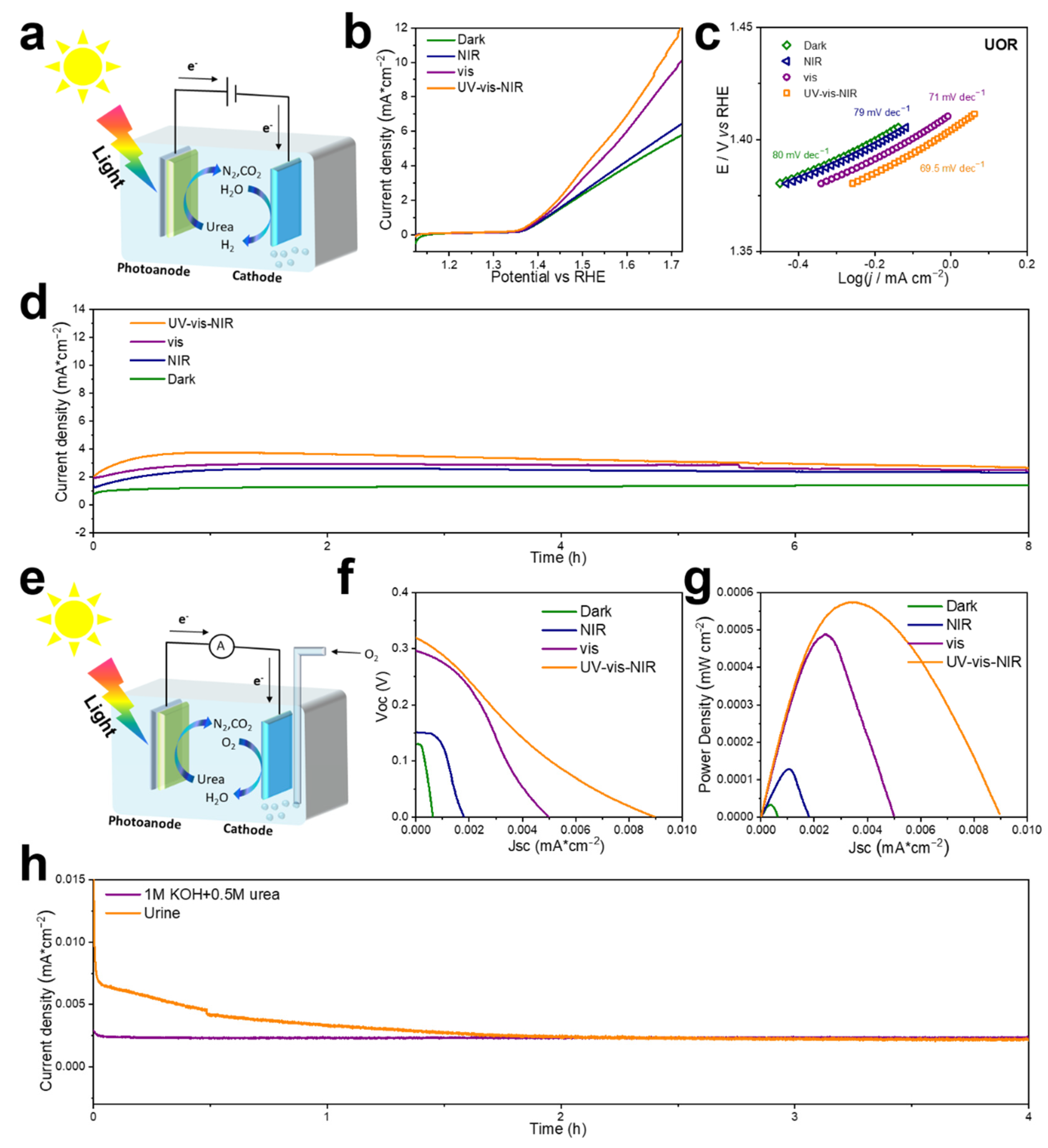 Catalysts 13 00053 g004