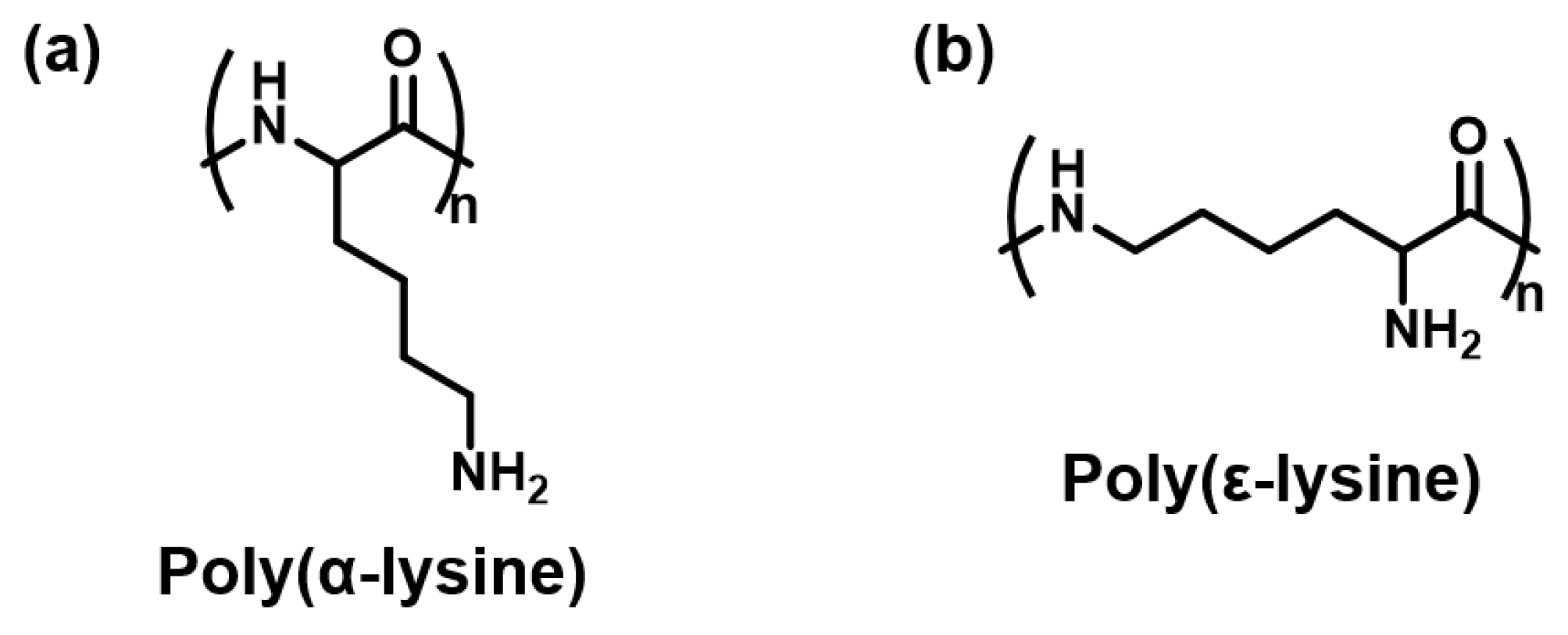 Catalysts 13 00056 g006 Catalysts 13 00056 g006