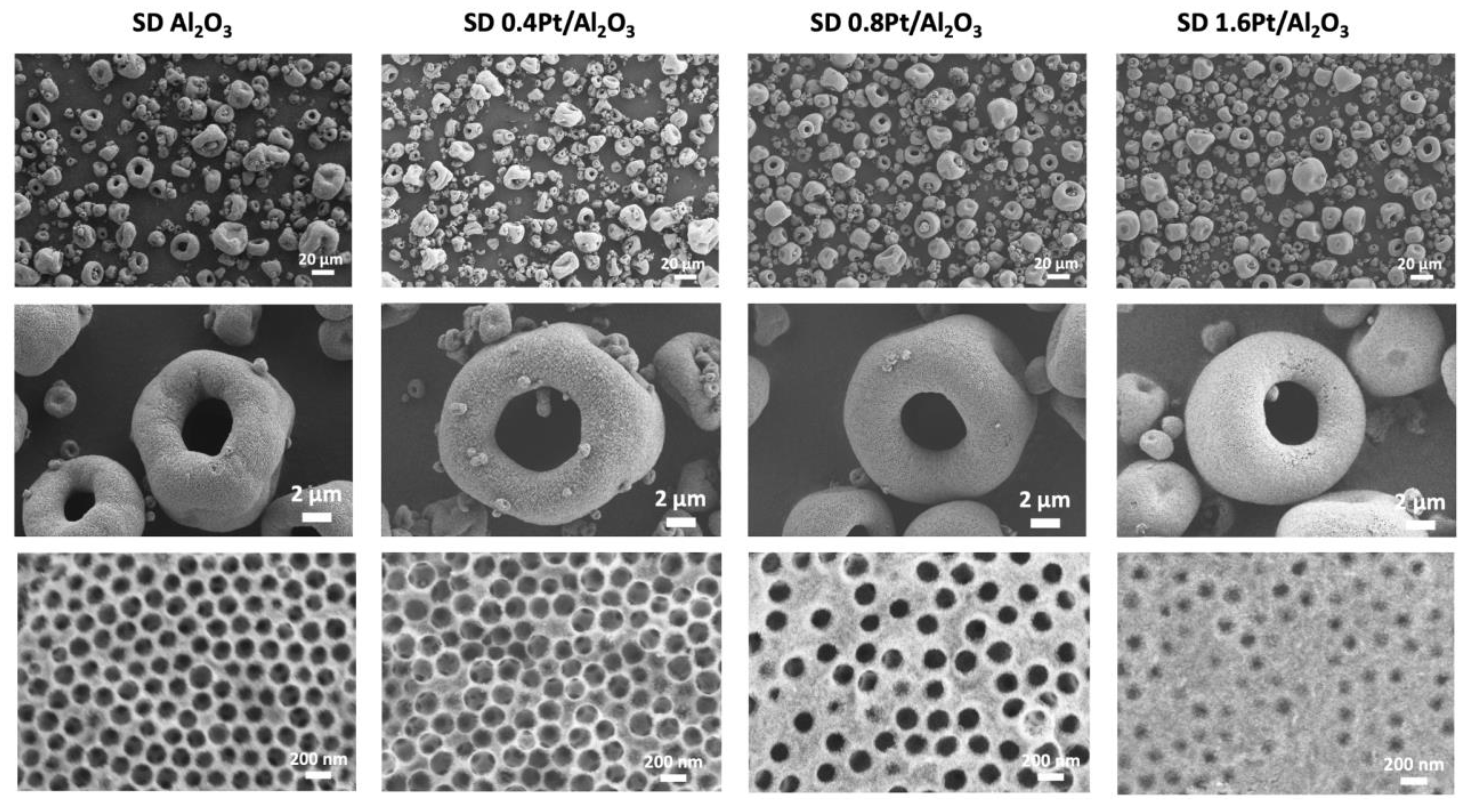 Catalysts 13 00060 g003 Catalysts 13 00060 g003