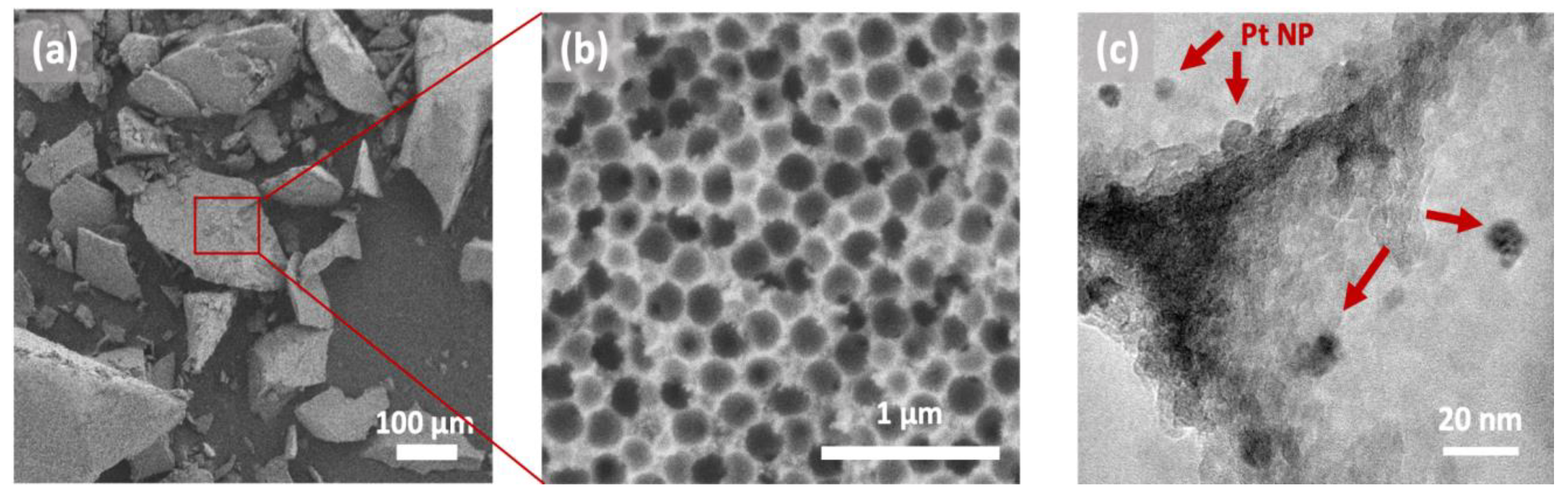 Catalysts 13 00060 g007 Catalysts 13 00060 g007