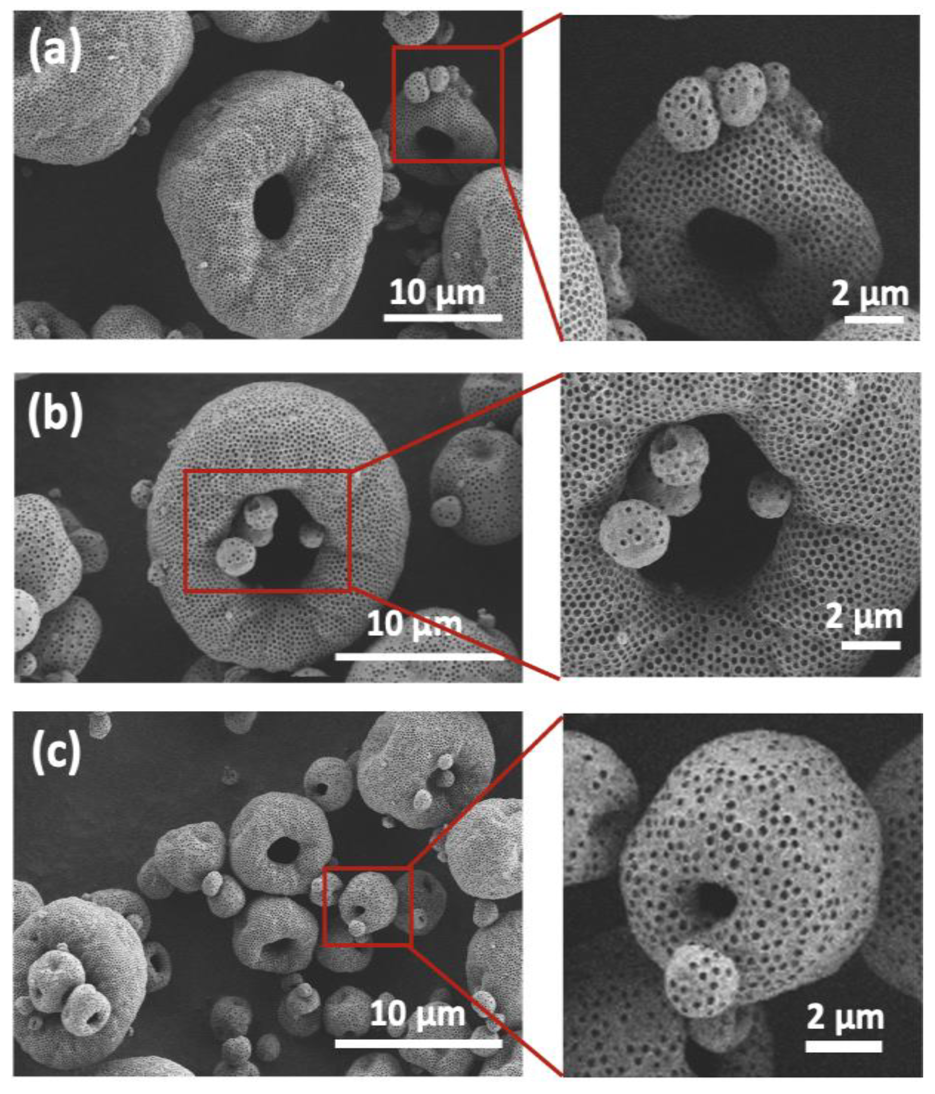 Catalysts 13 00060 g0a2 Catalysts 13 00060 g0a2