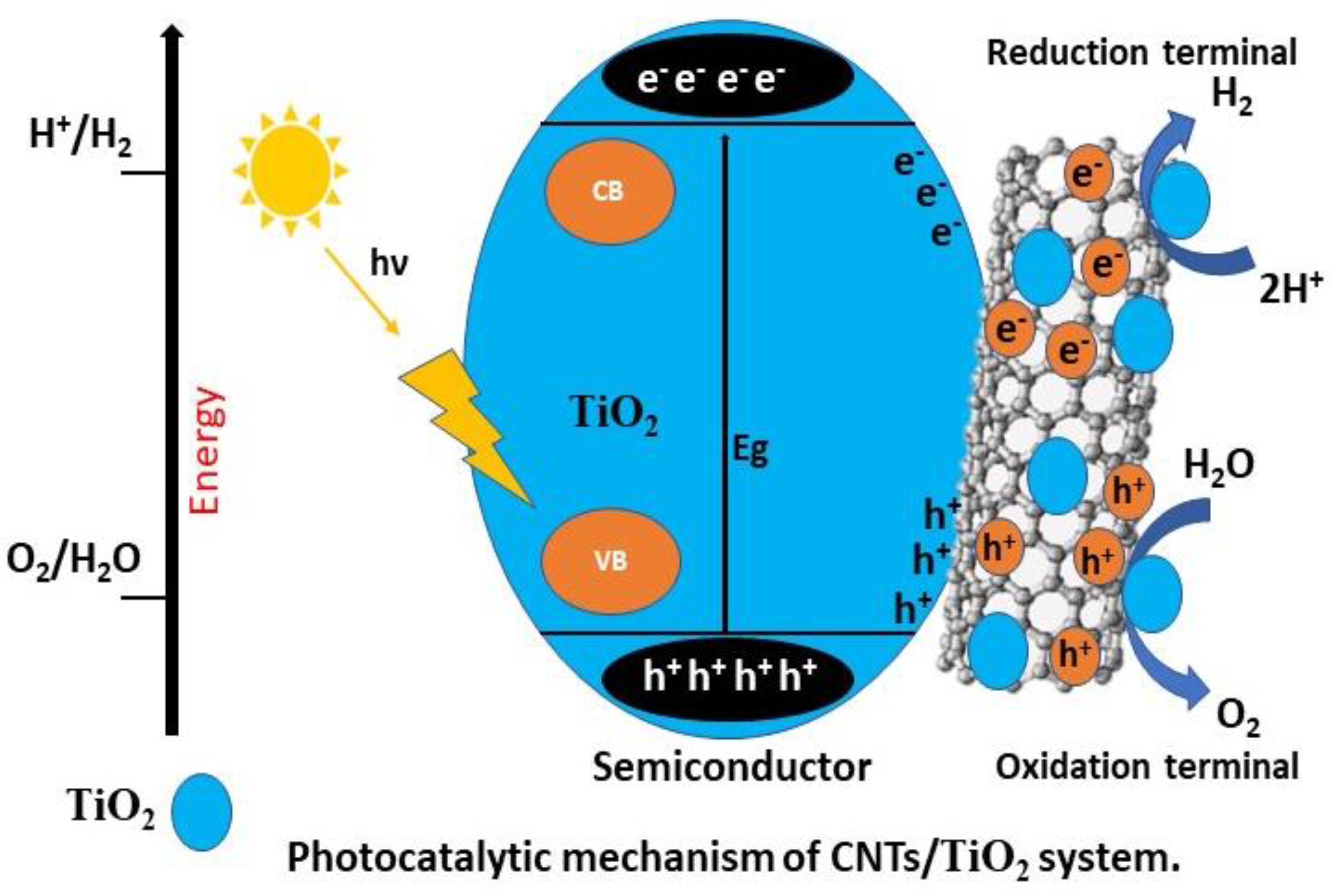 Catalysts 13 00066 g003 Catalysts 13 00066 g003