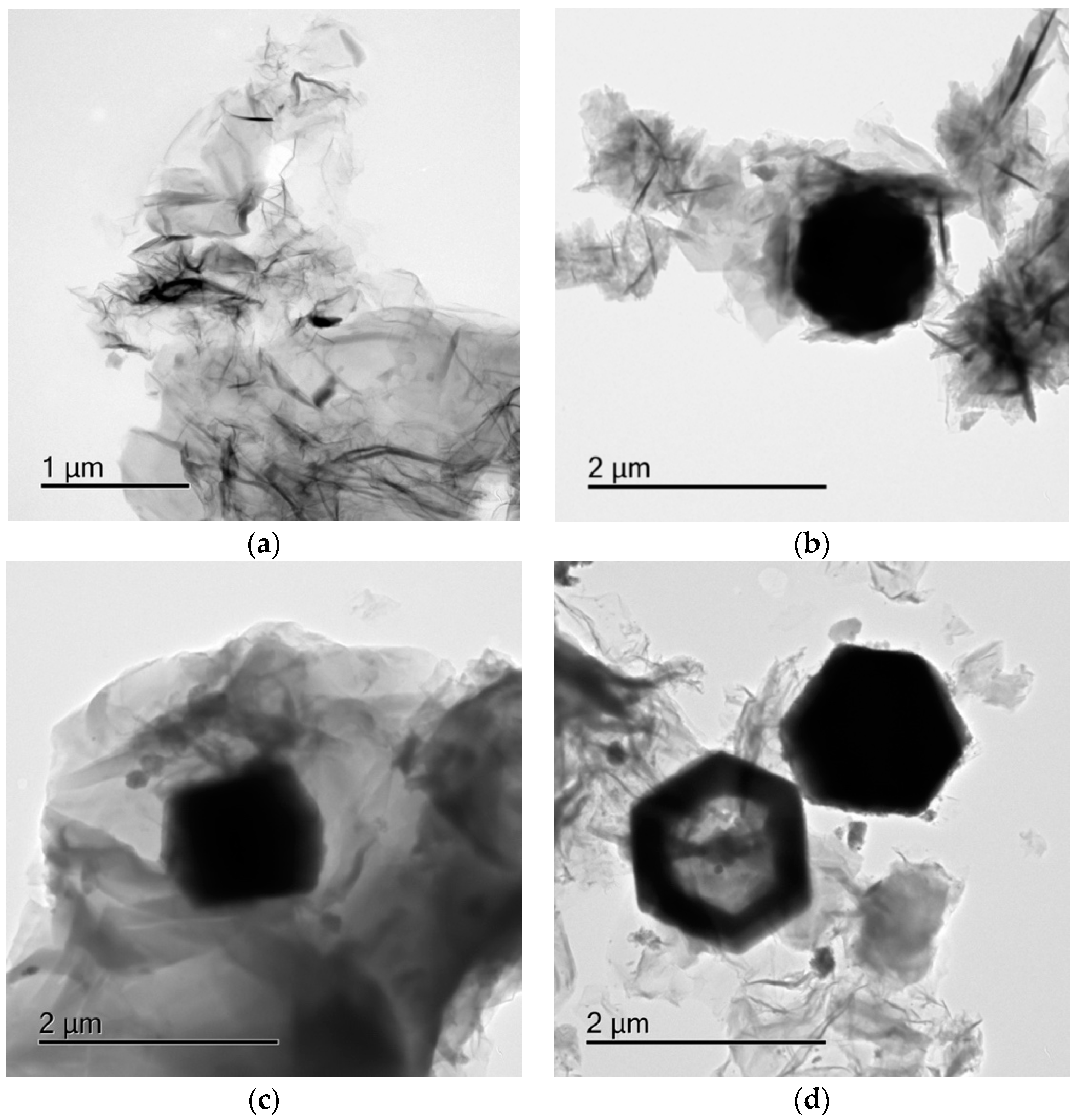 Catalysts 13 00069 g004