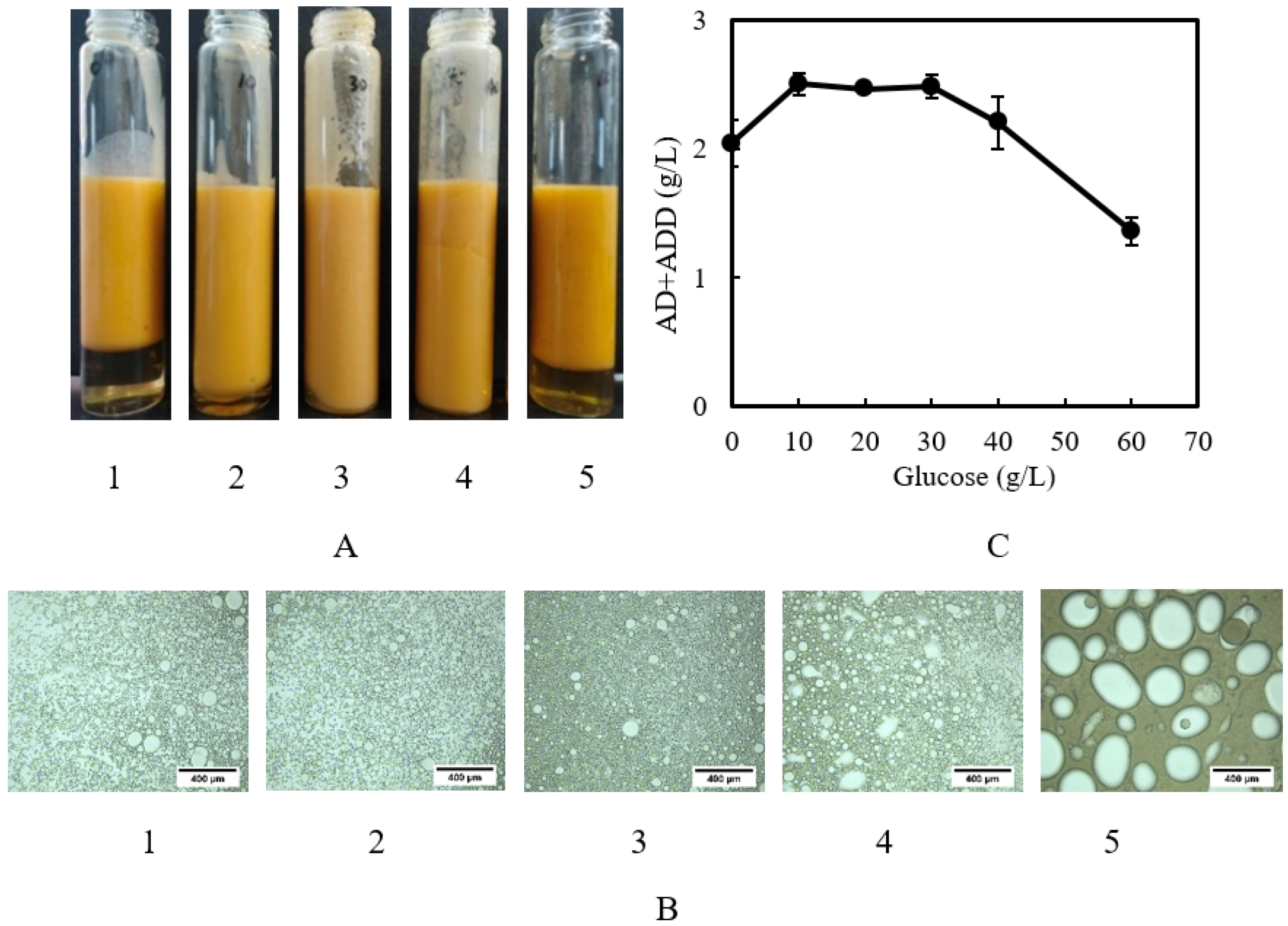 Catalysts 13 00072 g003 Catalysts 13 00072 g003