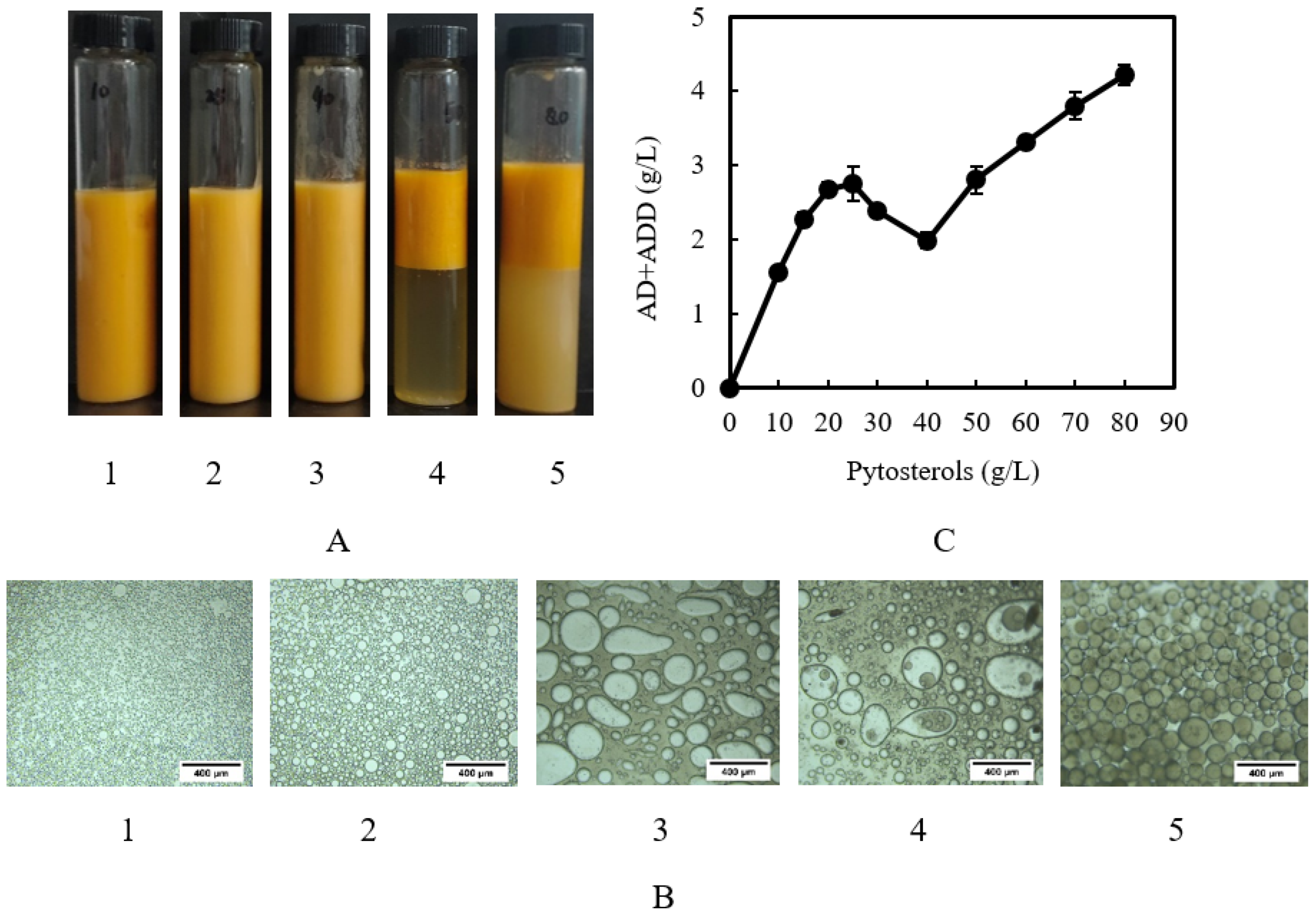 Catalysts 13 00072 g004 Catalysts 13 00072 g004