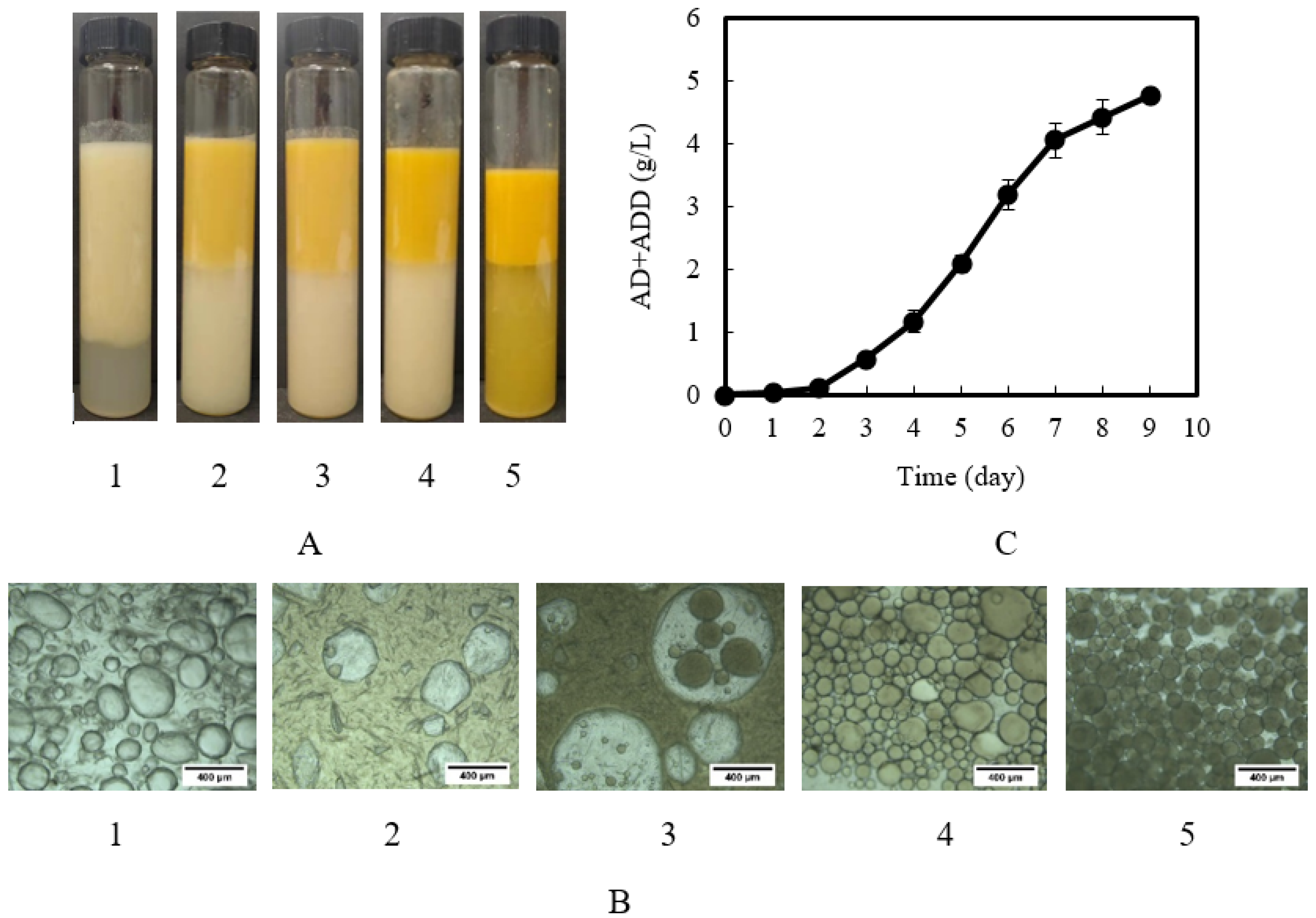 Catalysts 13 00072 g005 Catalysts 13 00072 g005