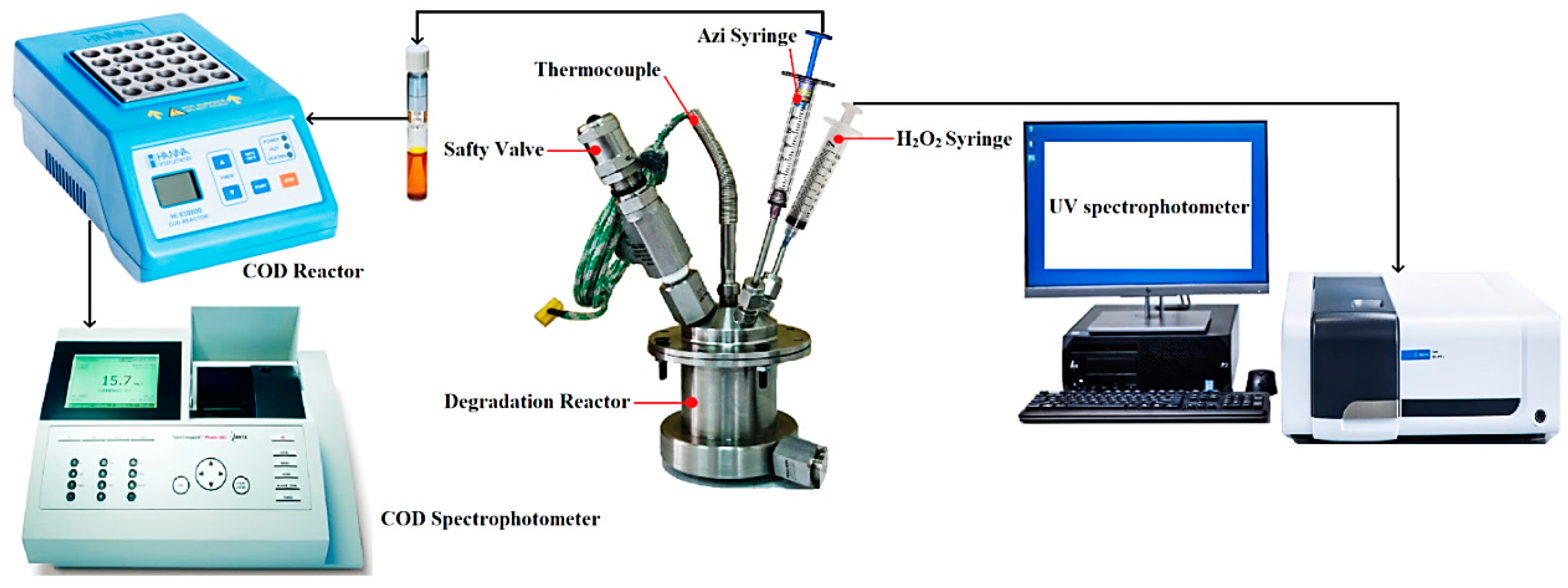 Catalysts 13 00077 g001
