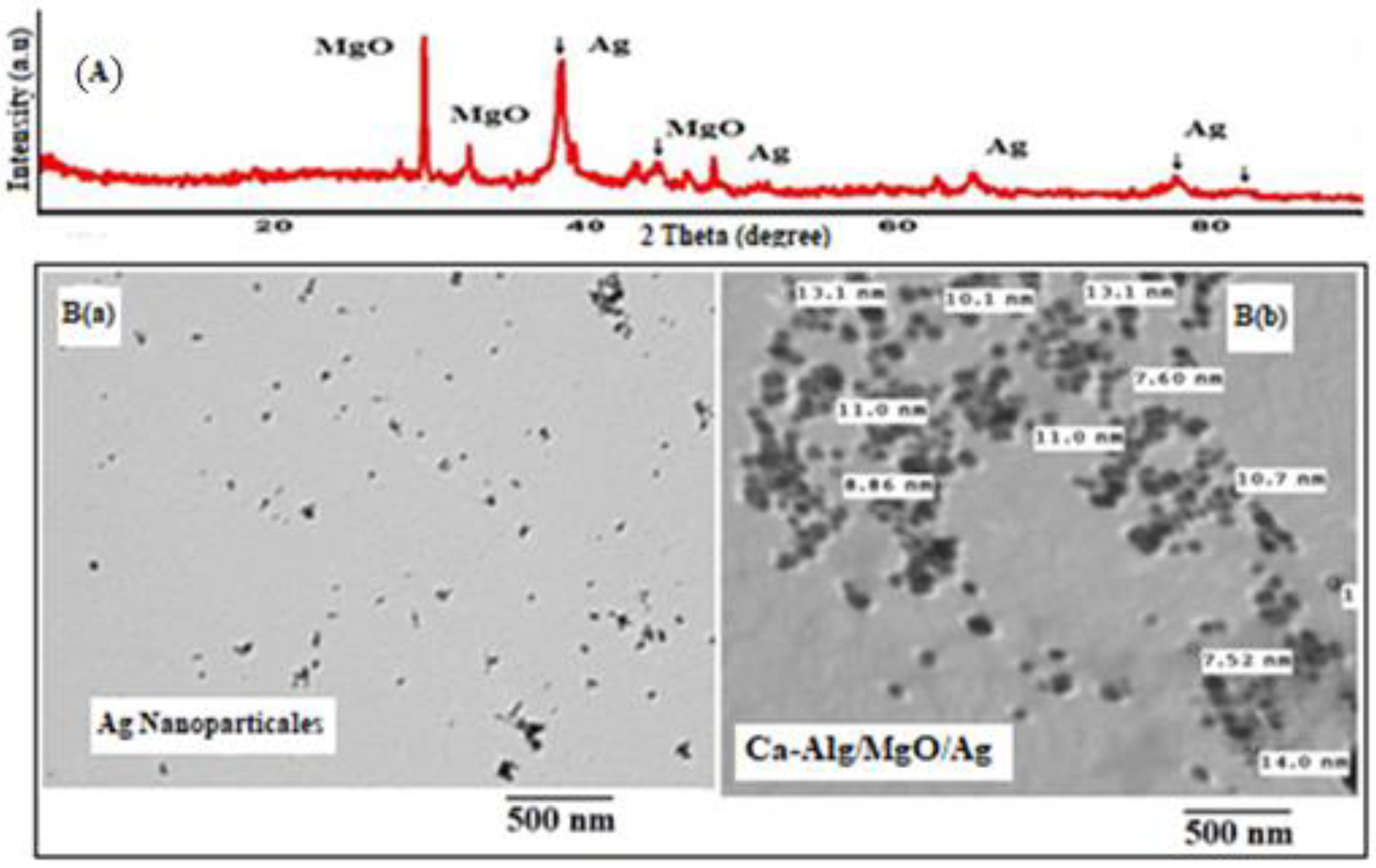 Catalysts 13 00078 g002 Catalysts 13 00078 g002