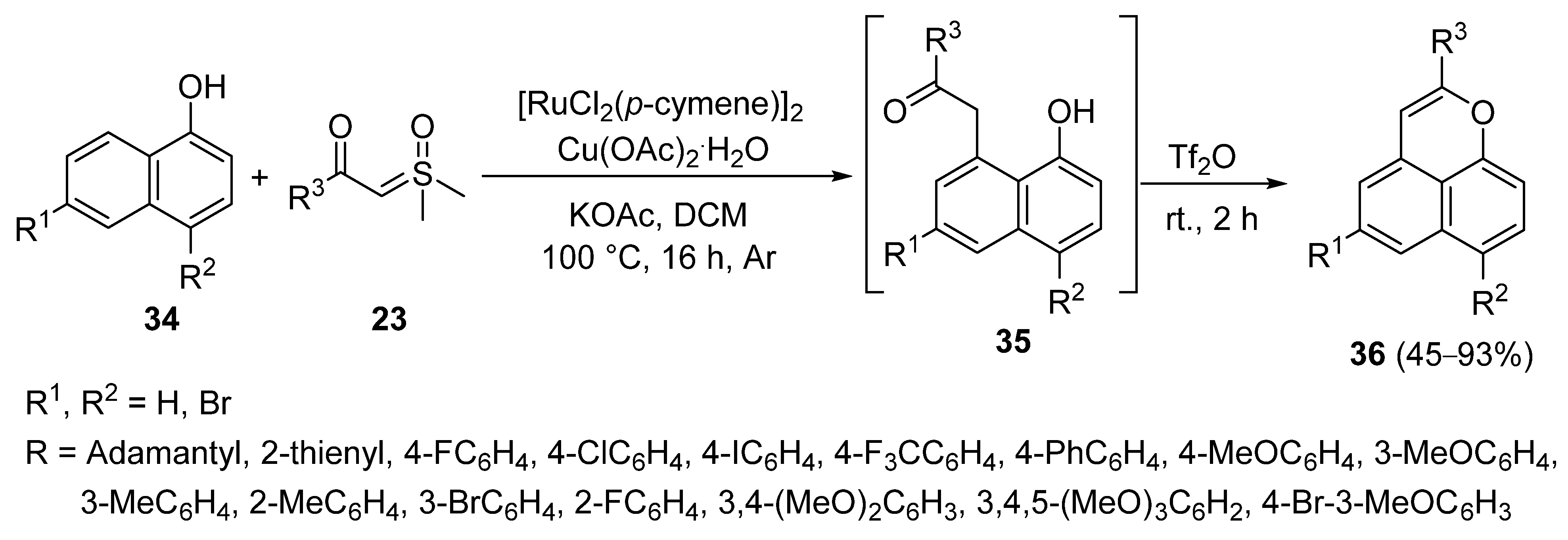 Catalysts 13 00087 sch014