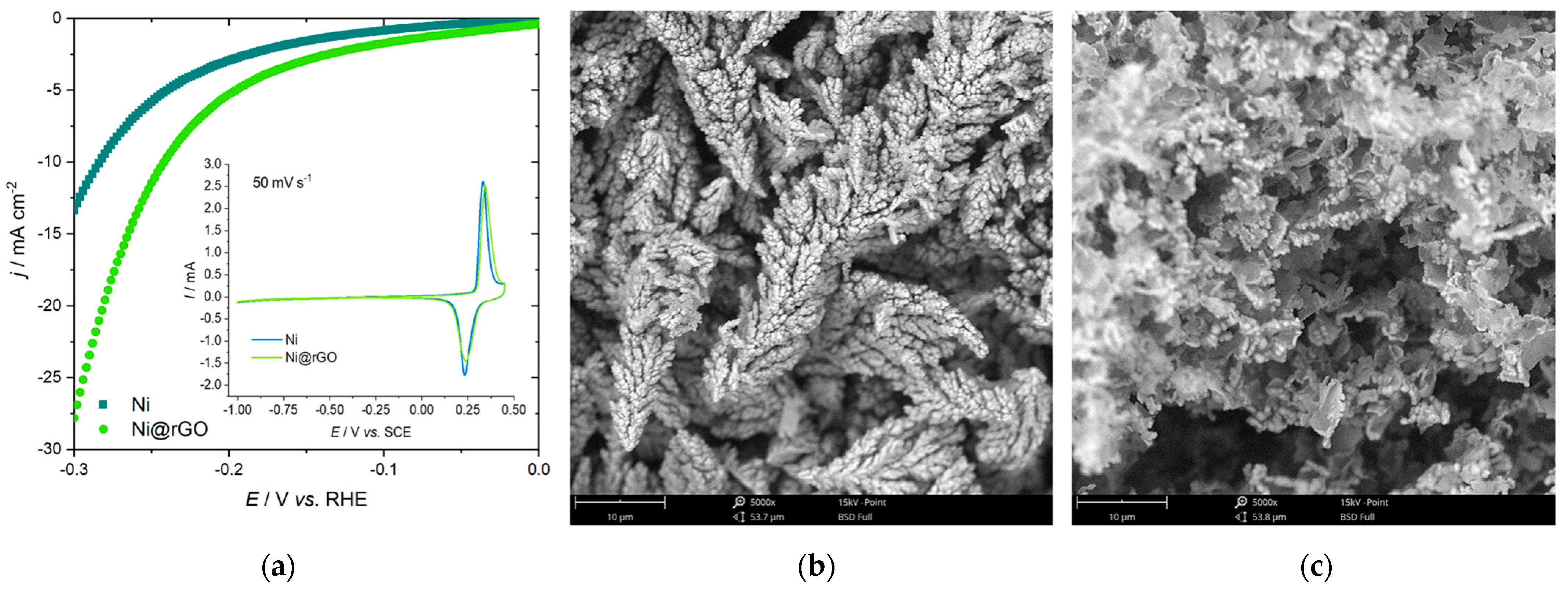 Catalysts 13 00089 g007 Catalysts 13 00089 g007