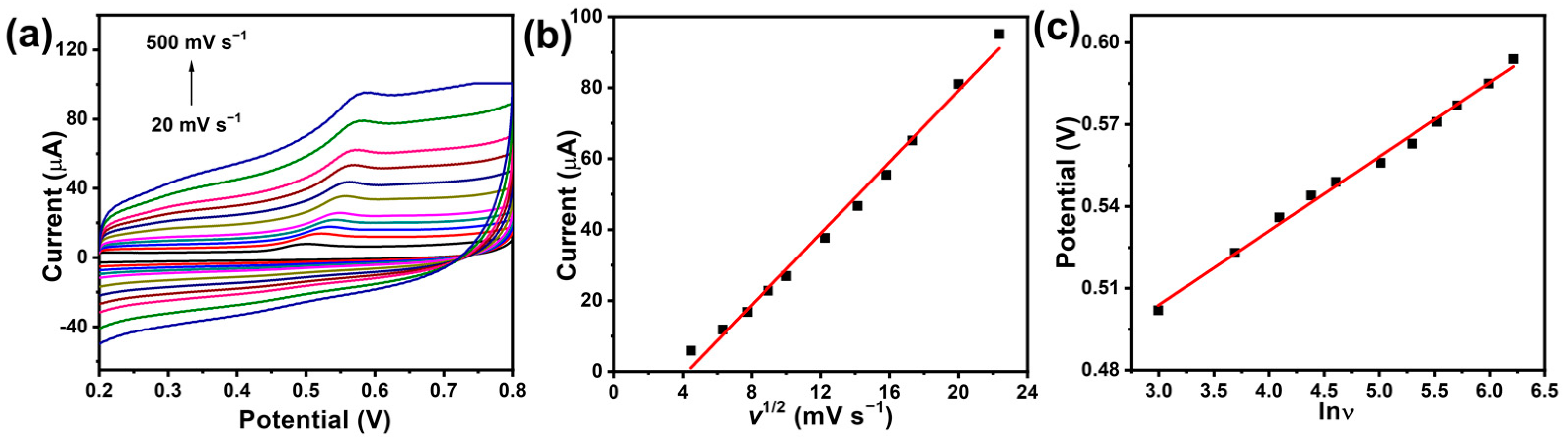 Catalysts 13 00091 g005 Catalysts 13 00091 g005
