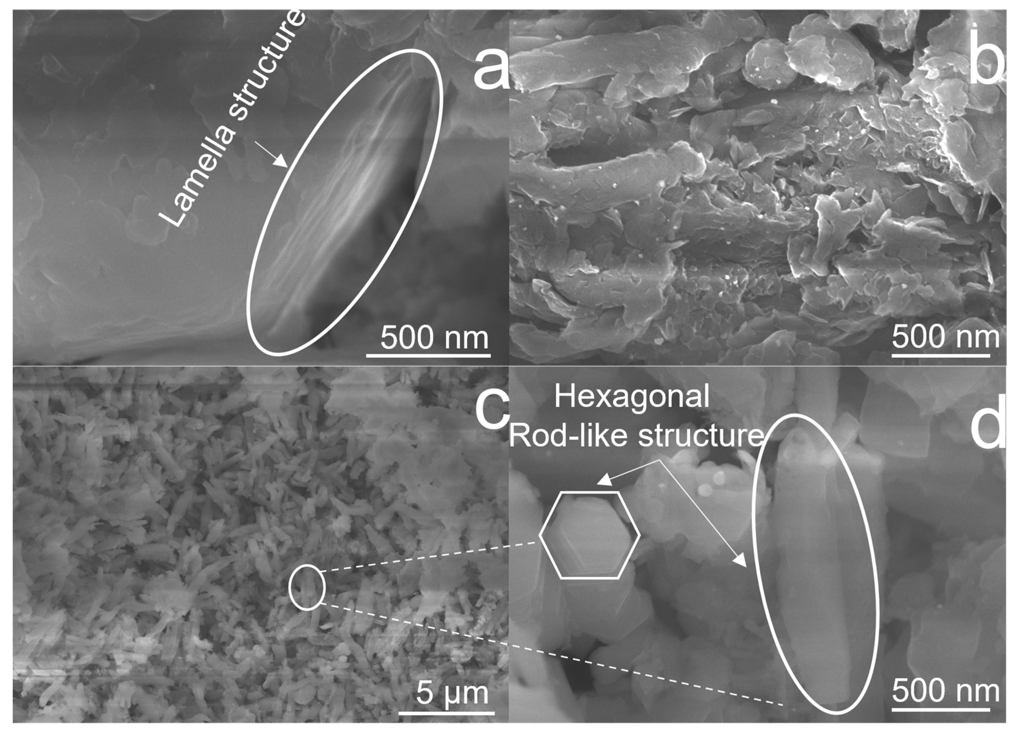 Catalysts 13 00092 g003 550