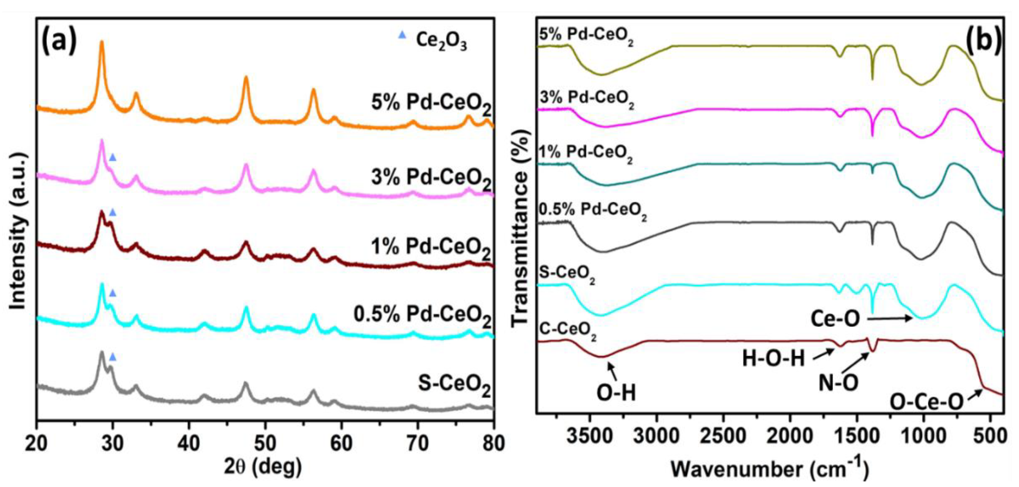 Catalysts 13 00096 g001