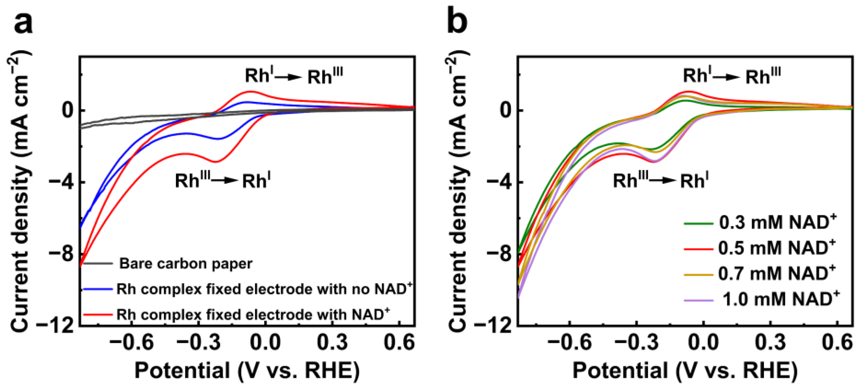 Catalysts 13 00101 g002 Catalysts 13 00101 g002