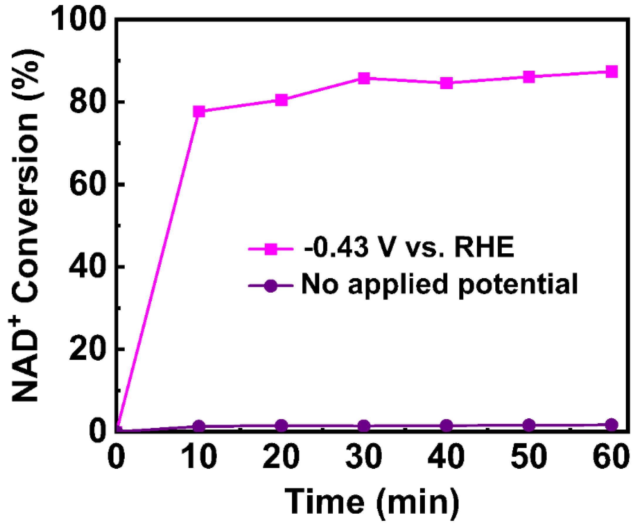 Catalysts 13 00101 g003 Catalysts 13 00101 g003