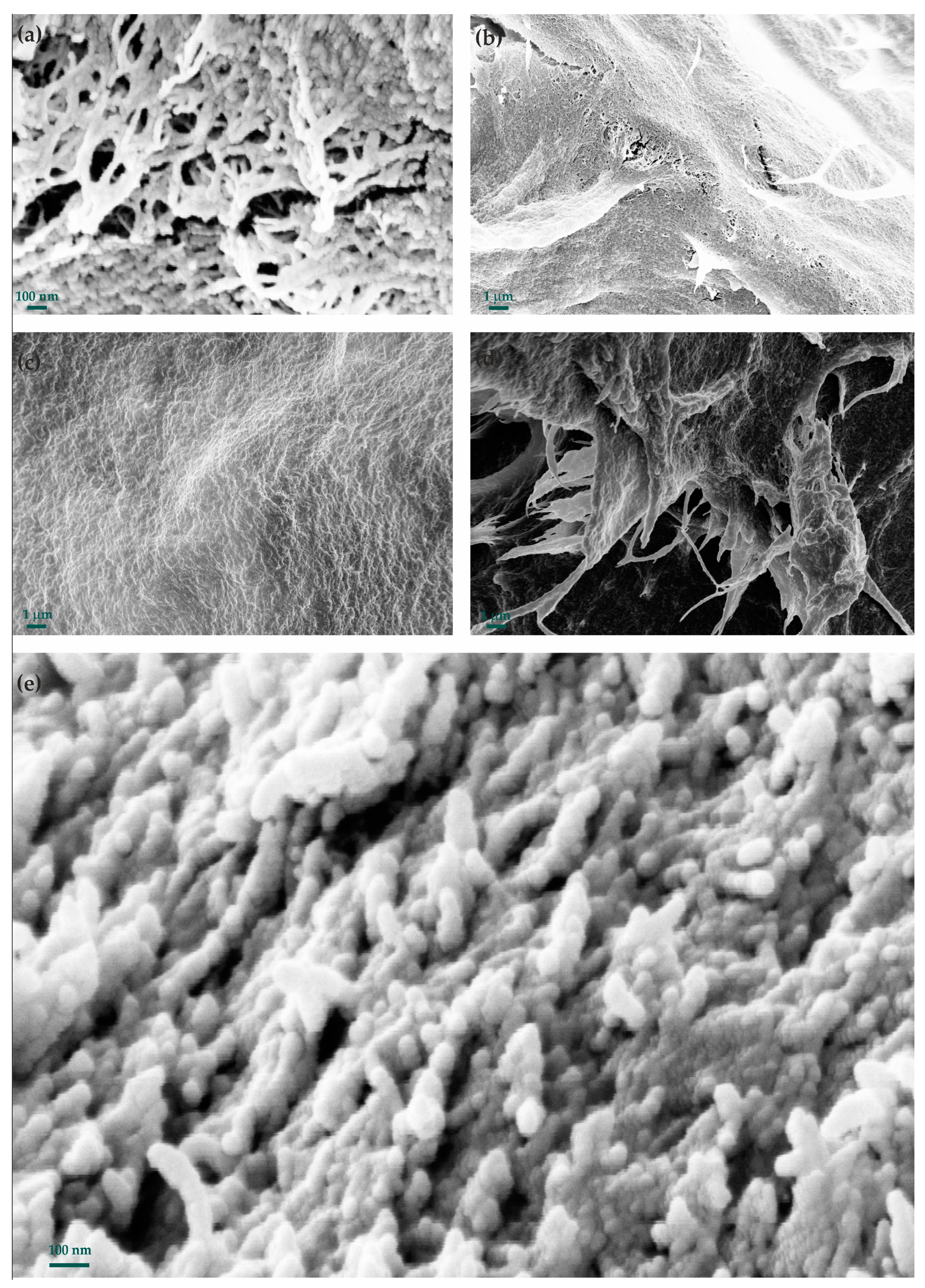 Catalysts 13 00103 g003