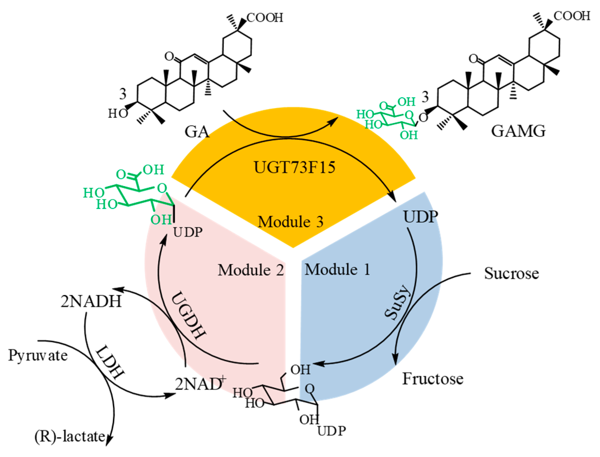 Catalysts 13 00104 g005 Catalysts 13 00104 g005