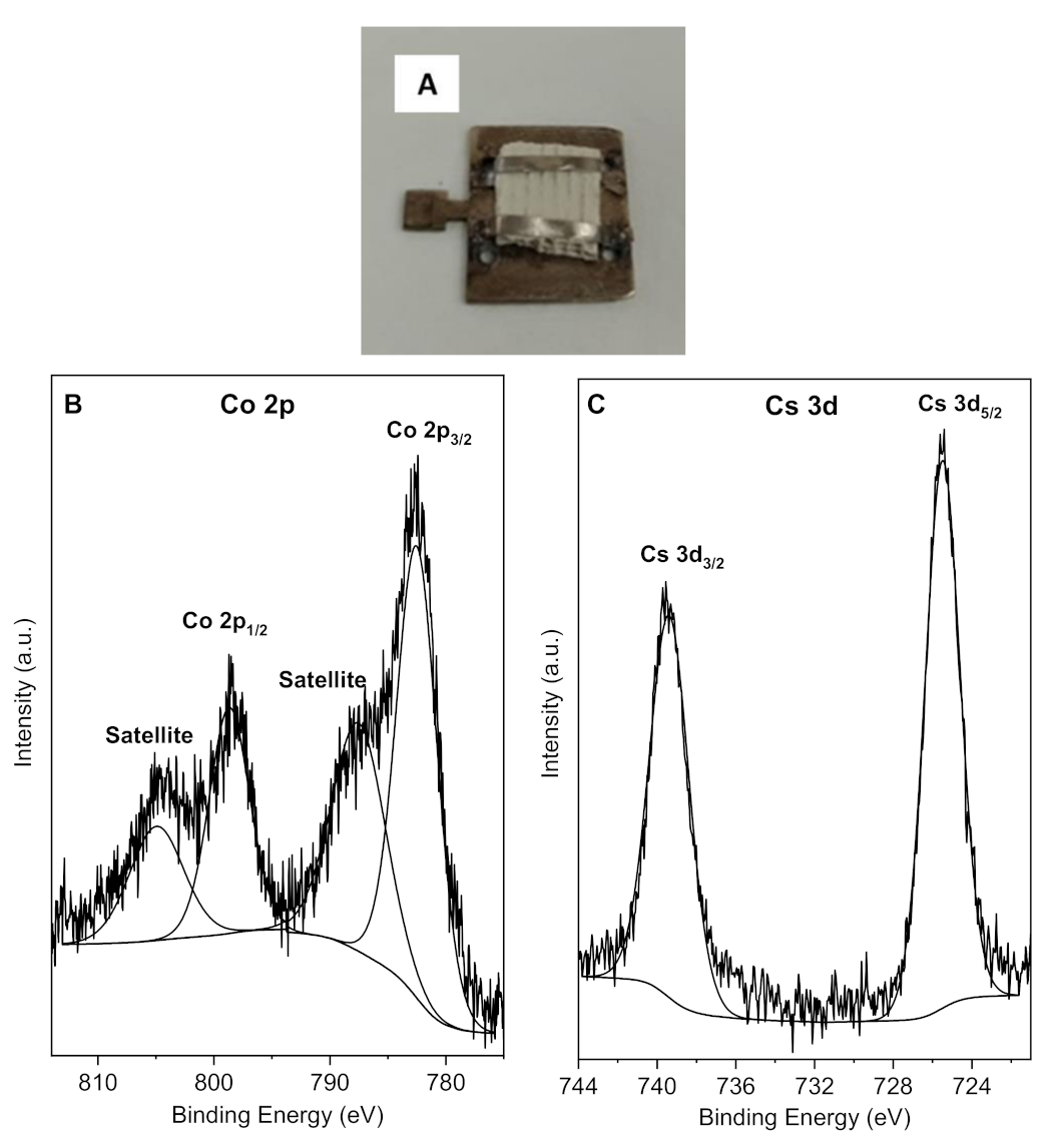 Catalysts 13 00106 g004 Catalysts 13 00106 g004