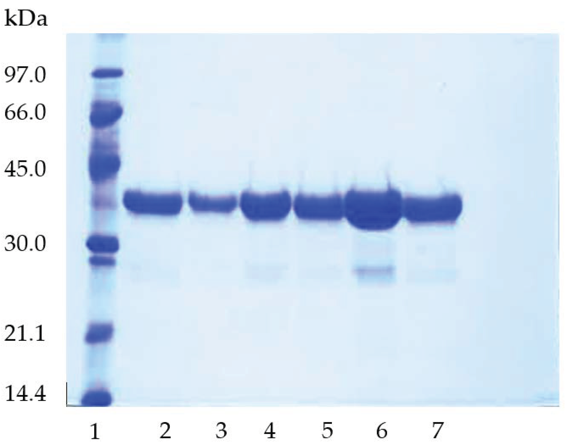 Catalysts 13 00108 g002
