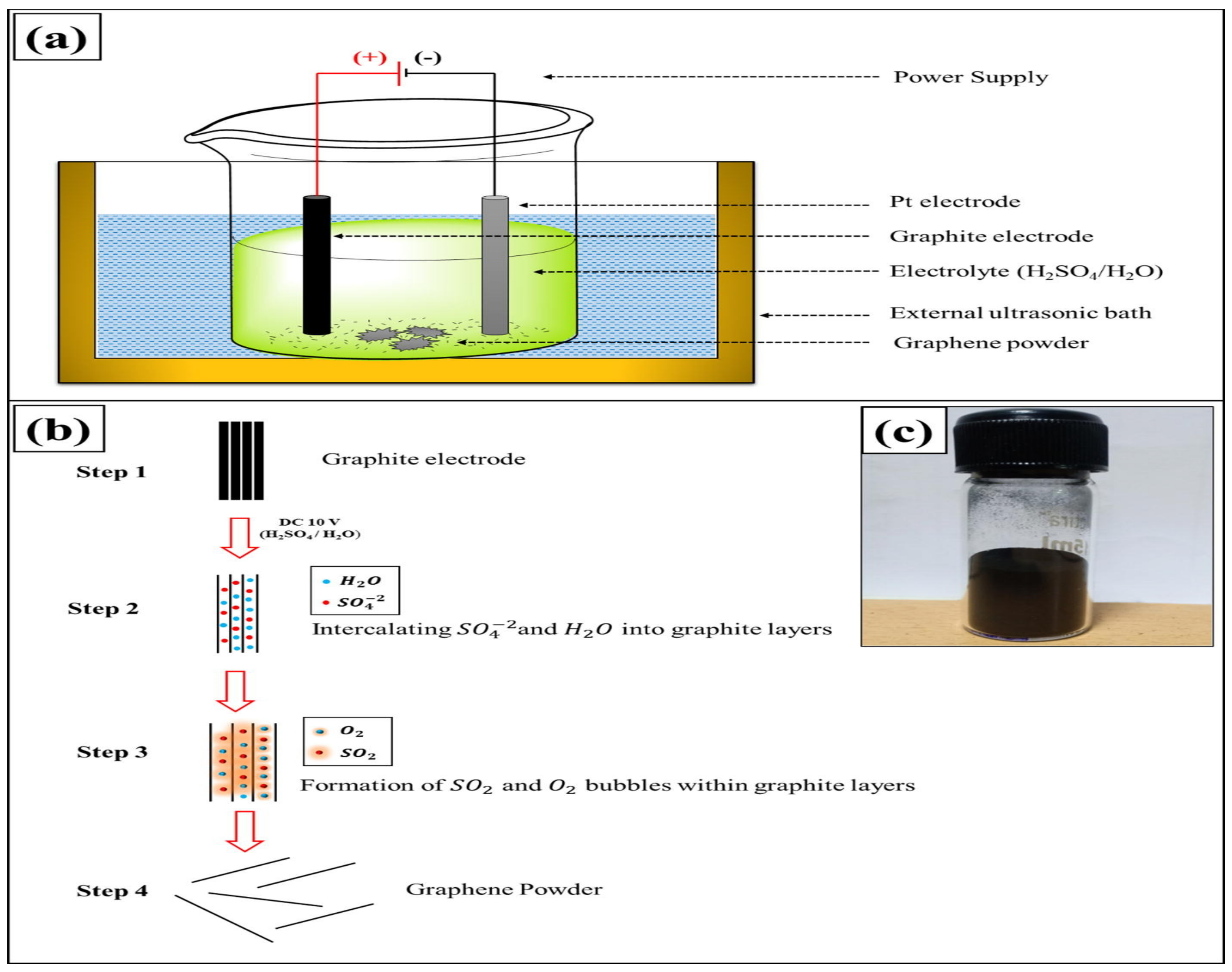 Catalysts 13 00111 g005 Catalysts 13 00111 g005
