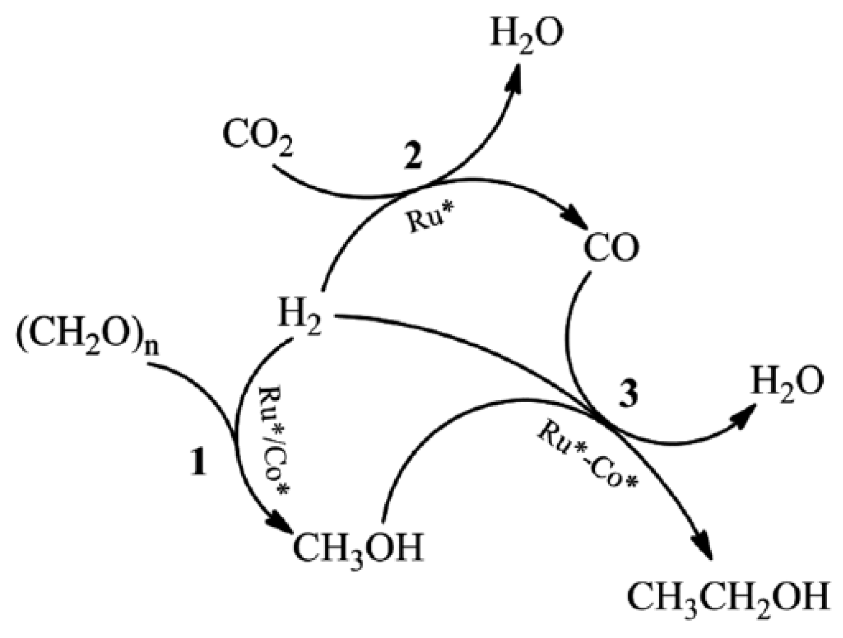 Catalysts 13 00115 g015