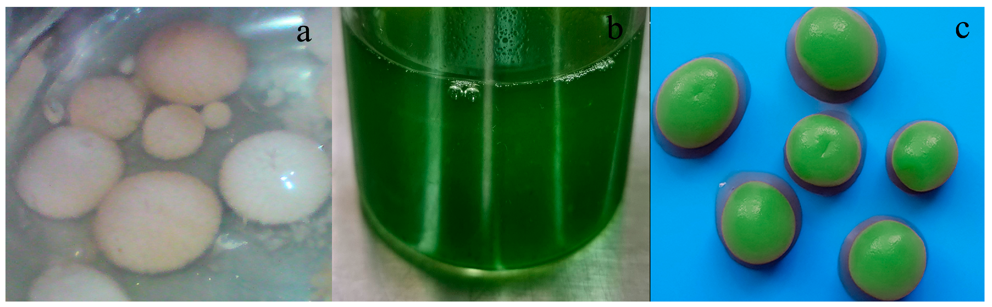 Catalysts 13 00118 g003 Catalysts 13 00118 g003