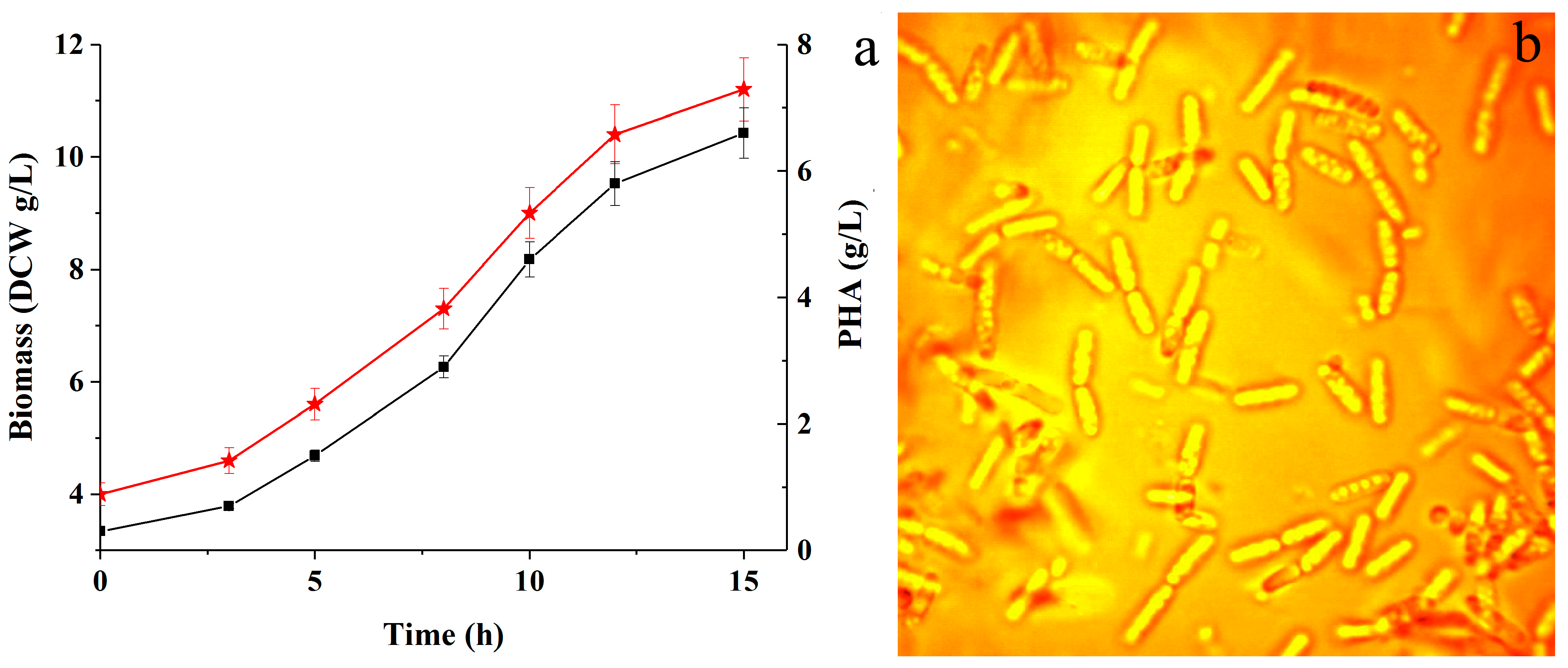 Catalysts 13 00118 g004 Catalysts 13 00118 g004
