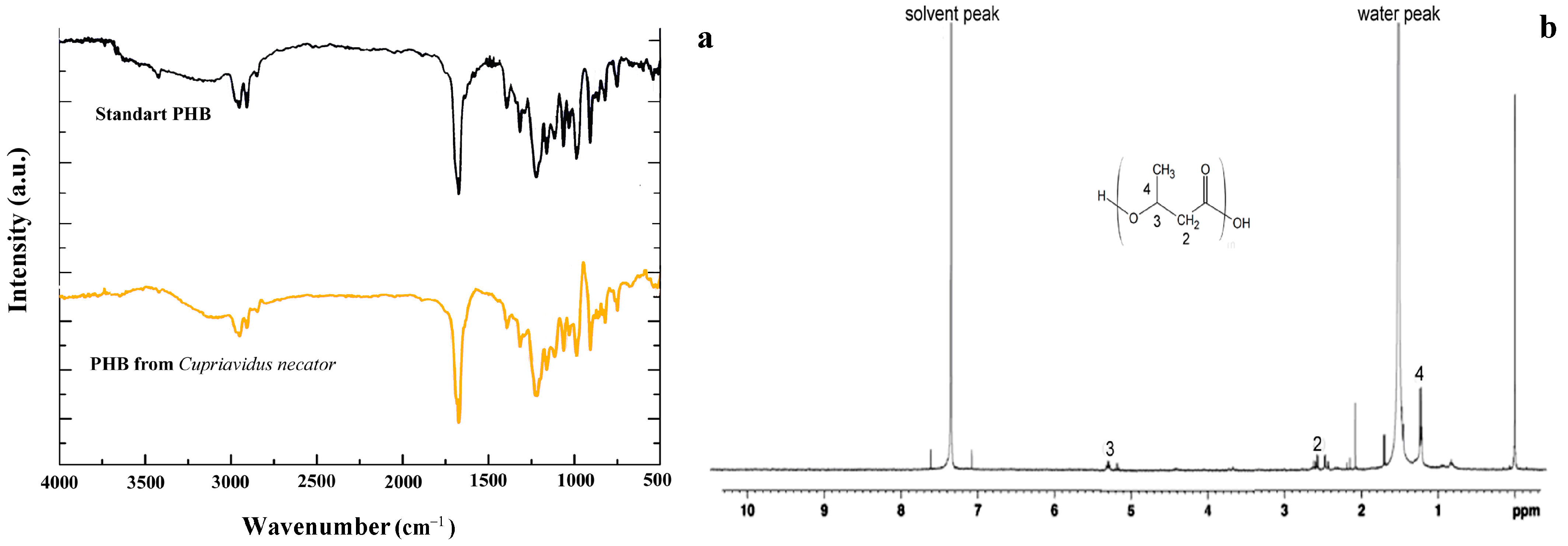 Catalysts 13 00118 g005 Catalysts 13 00118 g005
