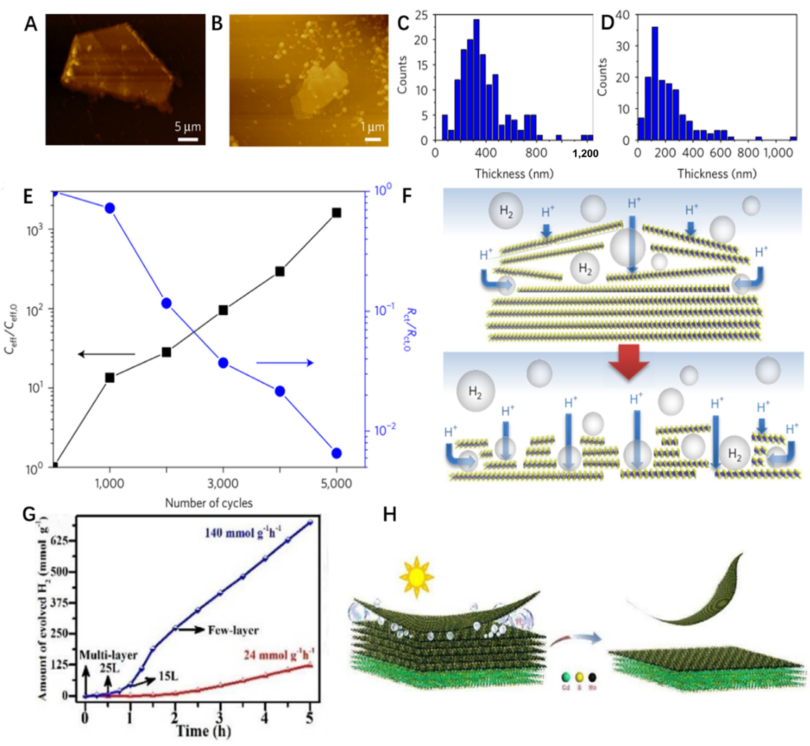 Catalysts 13 00120 g003