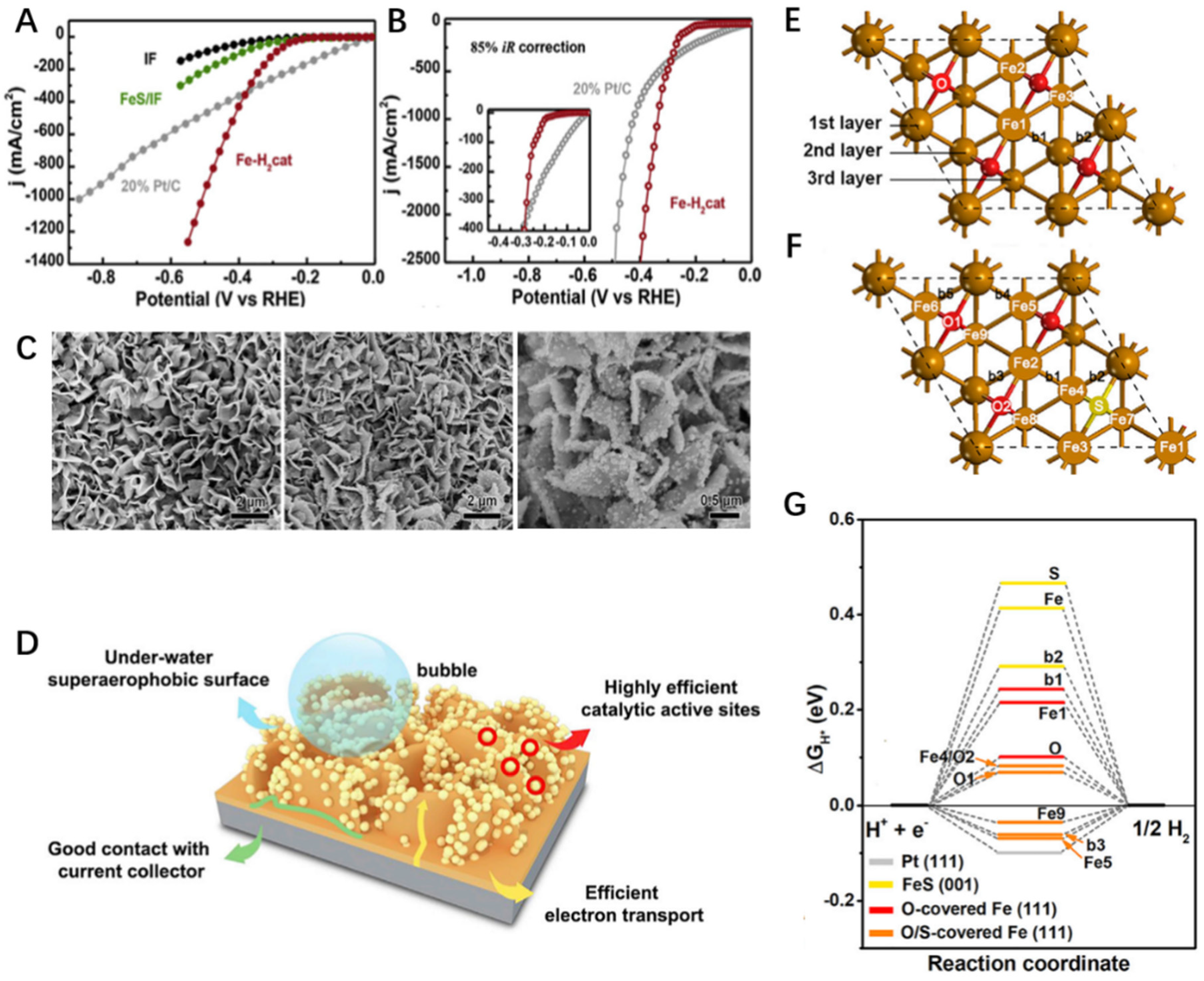 Catalysts 13 00120 g004