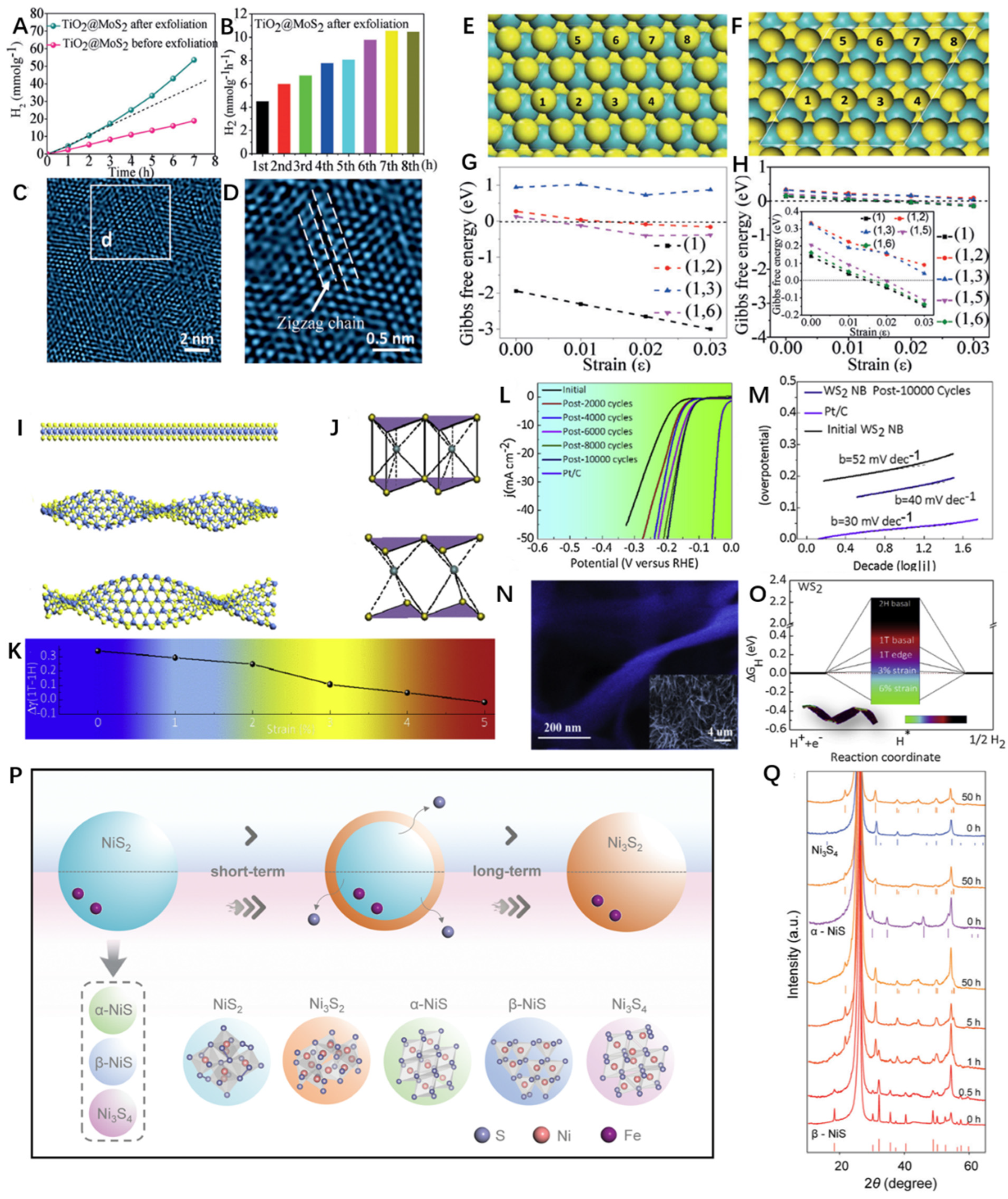 Catalysts 13 00120 g007